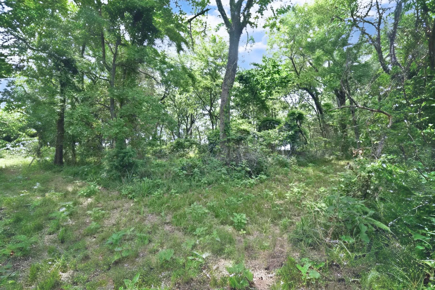 Unimproved Land For Sale in Wood County , Lot 11 Bois D, Yantis, Texas 75497, 0, 0, Garage spaces, 0 Sqft, built in 0, Price $399,000, mls#21276303, Real Estate Agent in Yantis, Homes For Sale in Wood county, Homes For Sale in Yantis, Realtor in Yantis Texas, Real Estate Brokerage Independent Realty Texas, Luminita Cordes Realtor