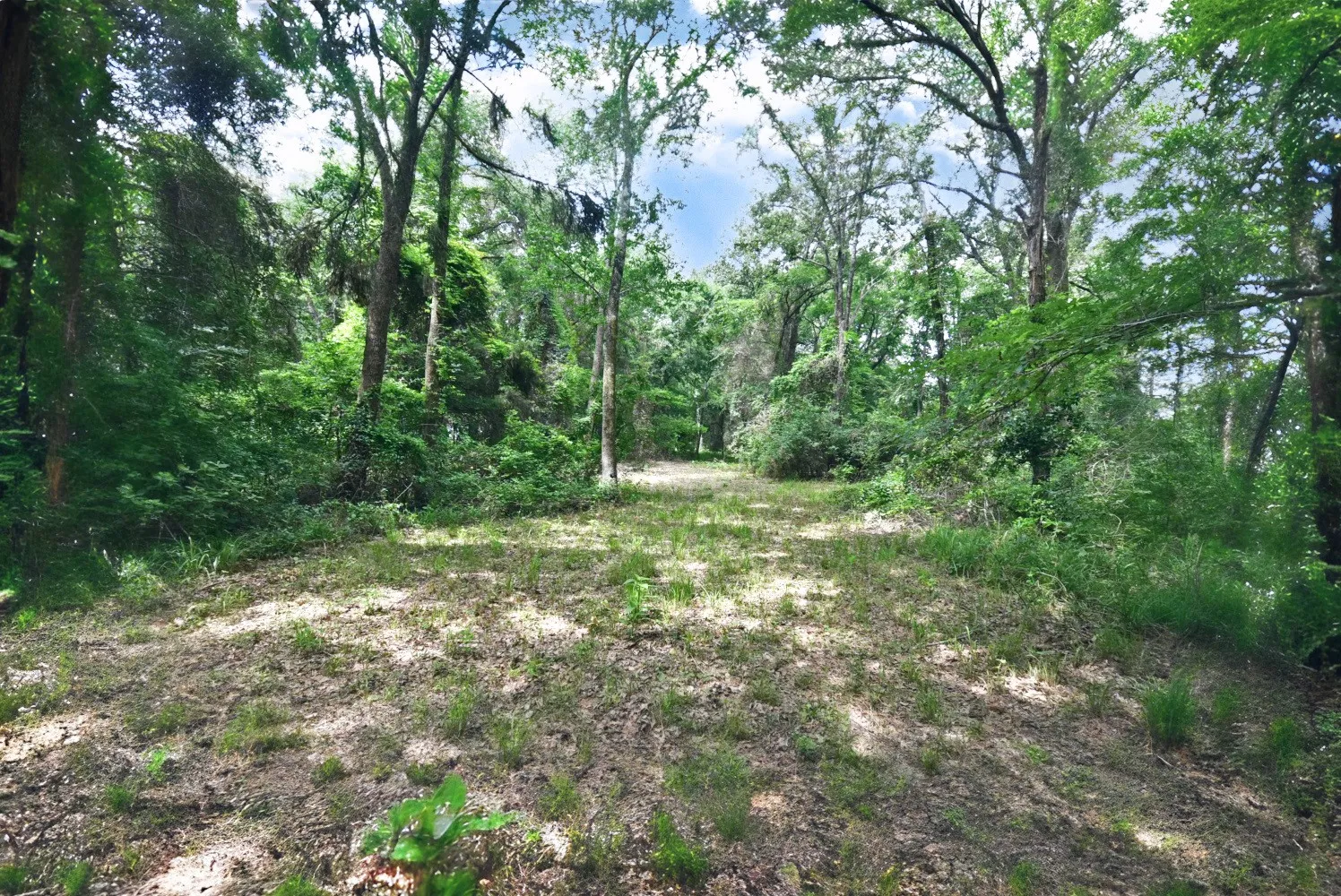 Unimproved Land For Sale in Wood County , Lot 11 Bois D, Yantis, Texas 75497, 0, 0, Garage spaces, 0 Sqft, built in 0, Price $399,000, mls#21276303, Real Estate Agent in Yantis, Homes For Sale in Wood county, Homes For Sale in Yantis, Realtor in Yantis Texas, Real Estate Brokerage Independent Realty Texas, Luminita Cordes Realtor