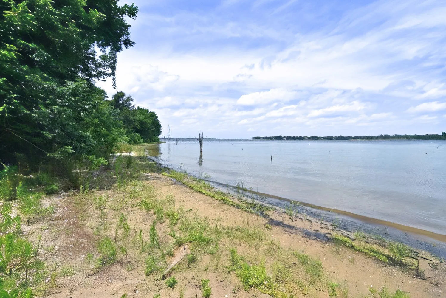 Unimproved Land For Sale in Wood County , Lot 11 Bois D, Yantis, Texas 75497, 0, 0, Garage spaces, 0 Sqft, built in 0, Price $399,000, mls#21276303, Real Estate Agent in Yantis, Homes For Sale in Wood county, Homes For Sale in Yantis, Realtor in Yantis Texas, Real Estate Brokerage Independent Realty Texas, Luminita Cordes Realtor