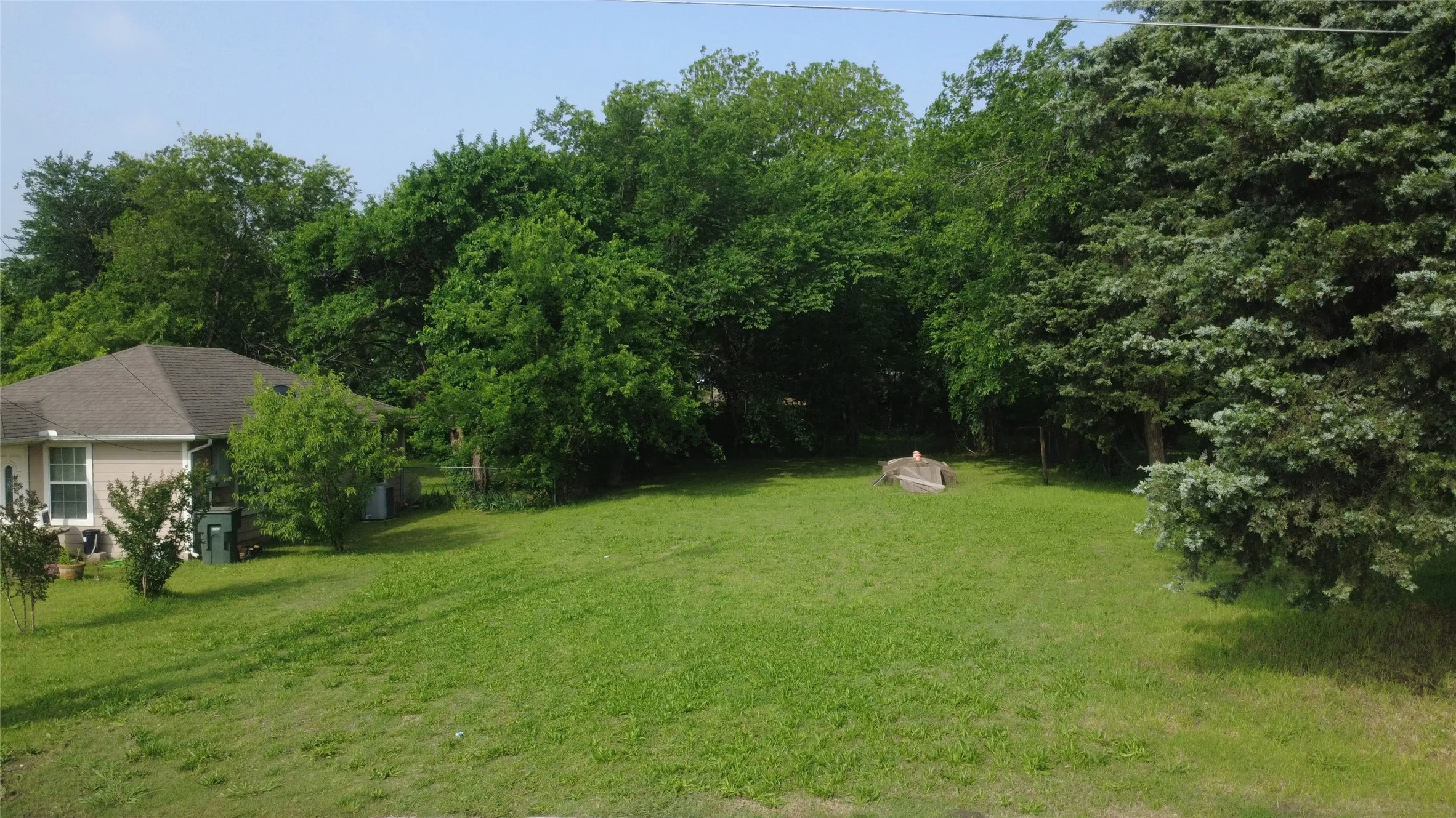 Green lawn with mature trees