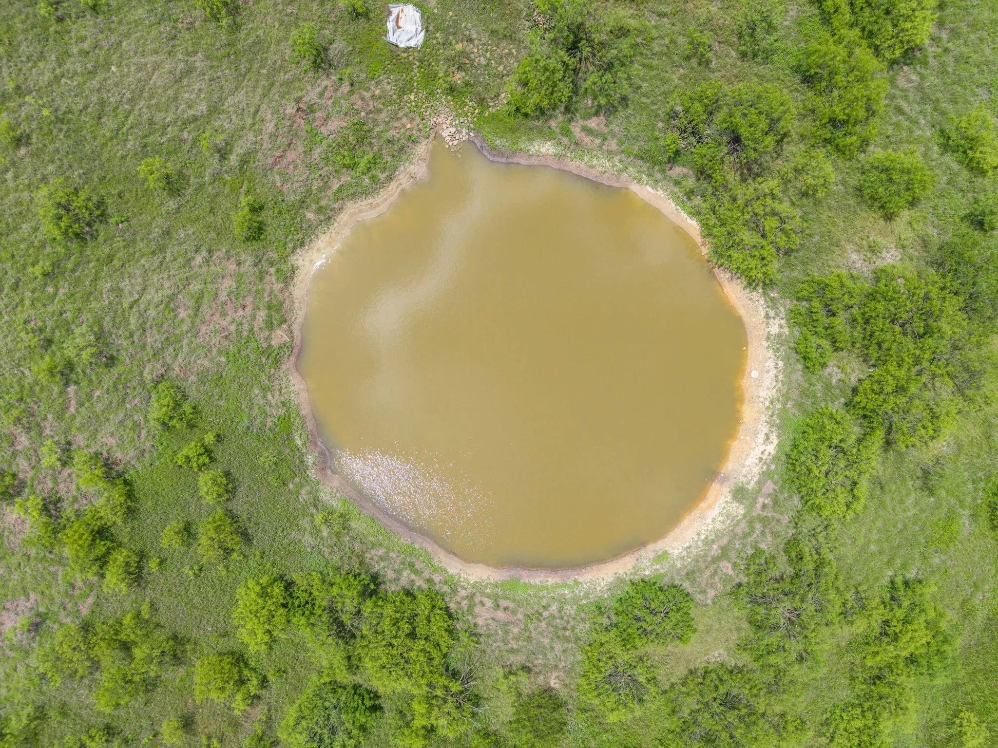 Improved Land For Sale in Brown County , 6989 Highway 377 S, Brownwood, Texas 76801, 0, 0, Garage spaces, 0 Sqft, built in 0, Price $275,000, mls#21279091, Real Estate Agent in Brownwood, Homes For Sale in Brown county, Homes For Sale in Brownwood, Realtor in Brownwood Texas, Real Estate Brokerage Independent Realty Texas, Luminita Cordes Realtor