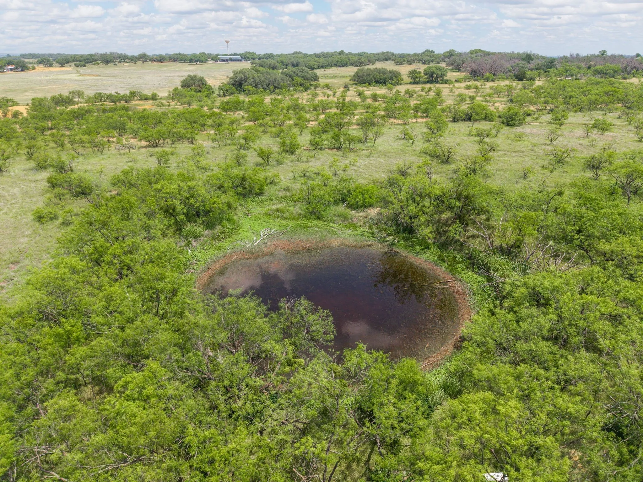 Improved Land For Sale in Brown County , 6989 Highway 377 S, Brownwood, Texas 76801, 0, 0, Garage spaces, 0 Sqft, built in 0, Price $275,000, mls#21279091, Real Estate Agent in Brownwood, Homes For Sale in Brown county, Homes For Sale in Brownwood, Realtor in Brownwood Texas, Real Estate Brokerage Independent Realty Texas, Luminita Cordes Realtor