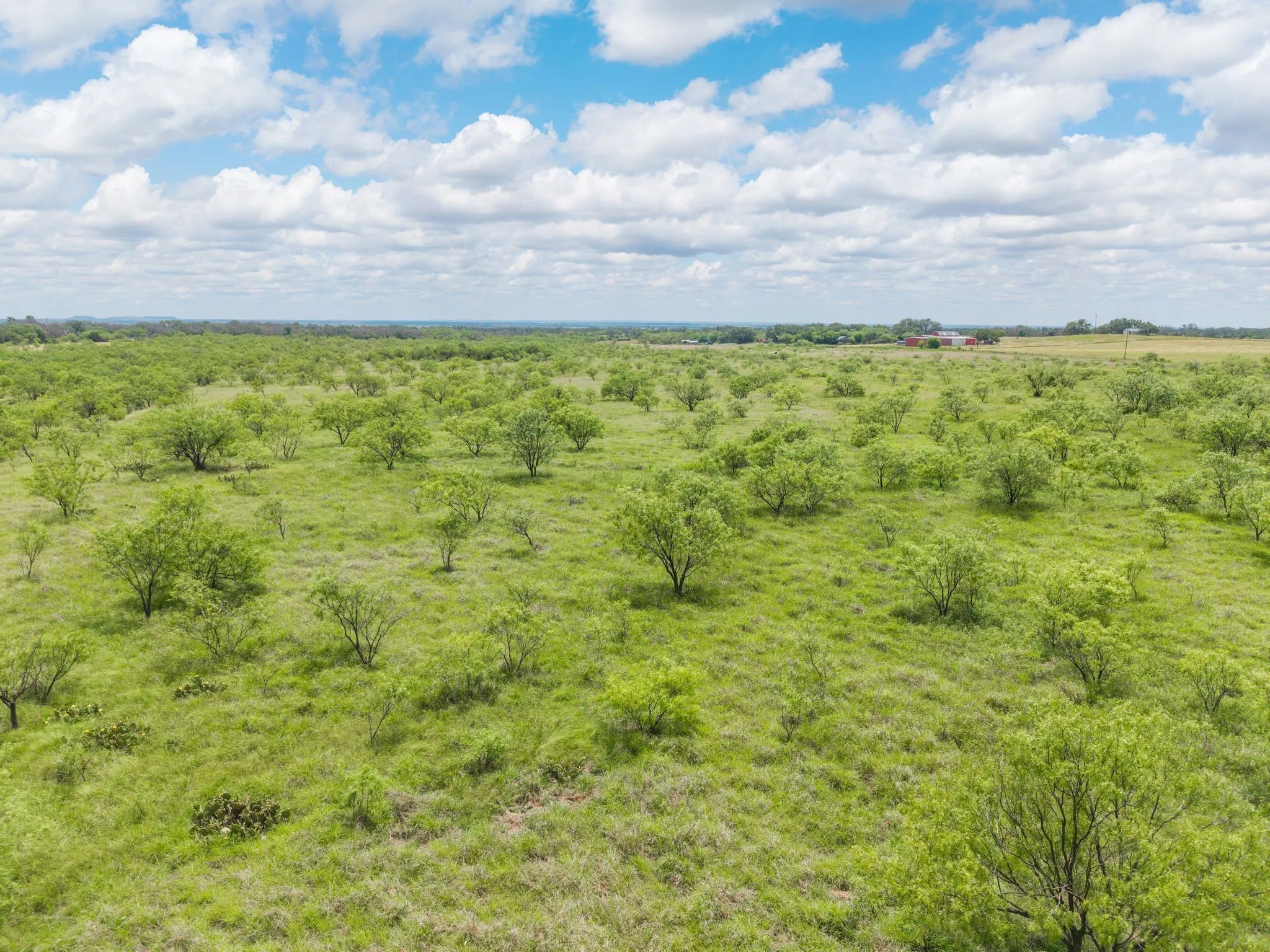 Improved Land For Sale in Brown County , 6989 Highway 377 S, Brownwood, Texas 76801, 0, 0, Garage spaces, 0 Sqft, built in 0, Price $275,000, mls#21279091, Real Estate Agent in Brownwood, Homes For Sale in Brown county, Homes For Sale in Brownwood, Realtor in Brownwood Texas, Real Estate Brokerage Independent Realty Texas, Luminita Cordes Realtor