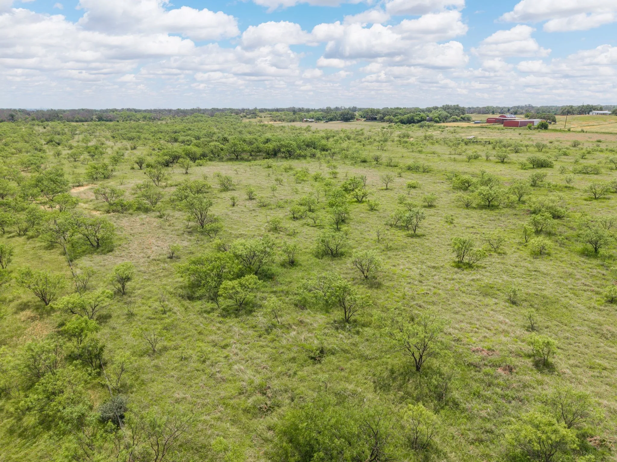Improved Land For Sale in Brown County , 6989 Highway 377 S, Brownwood, Texas 76801, 0, 0, Garage spaces, 0 Sqft, built in 0, Price $275,000, mls#21279091, Real Estate Agent in Brownwood, Homes For Sale in Brown county, Homes For Sale in Brownwood, Realtor in Brownwood Texas, Real Estate Brokerage Independent Realty Texas, Luminita Cordes Realtor