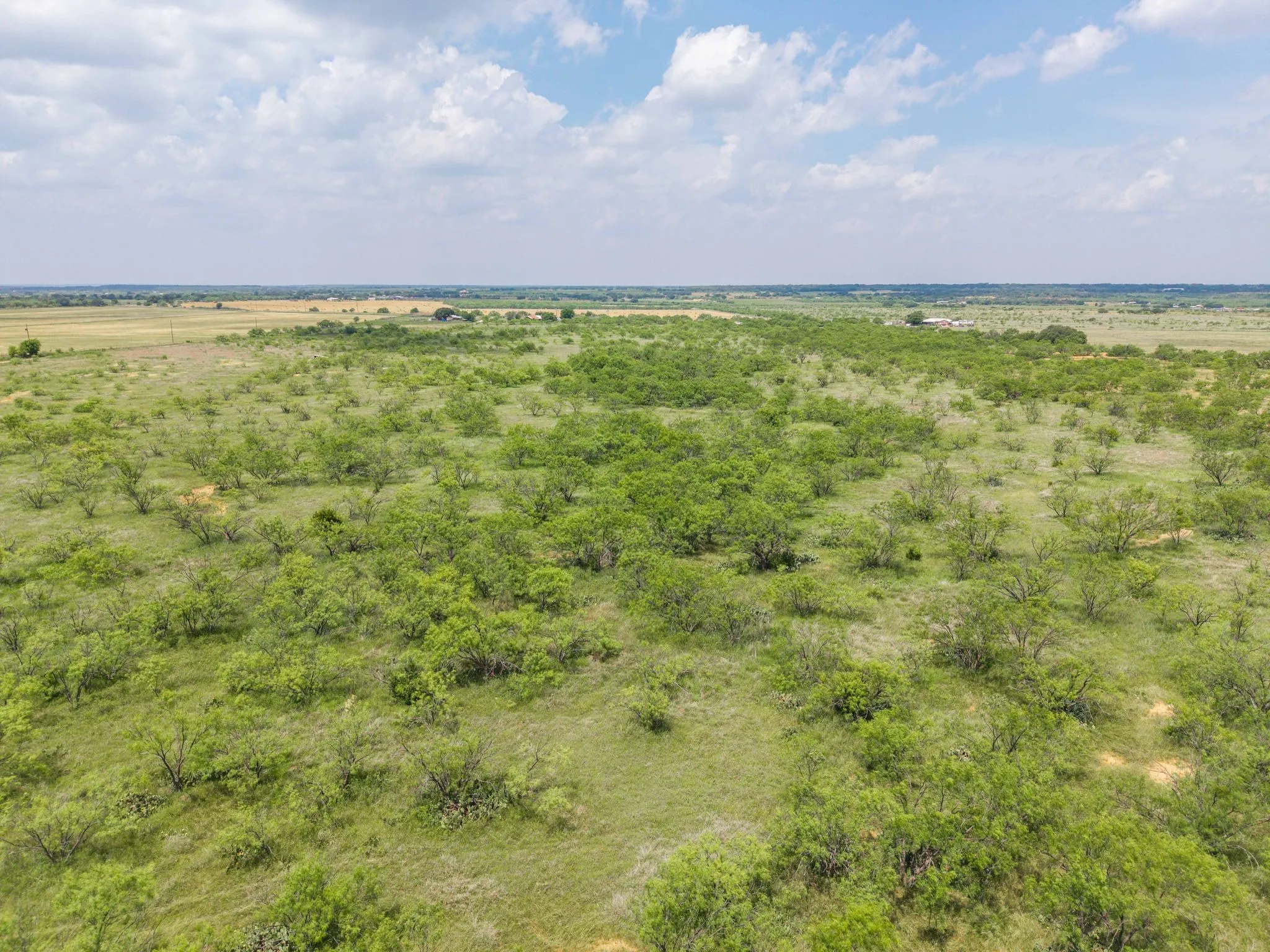 Improved Land For Sale in Brown County , 6989 Highway 377 S, Brownwood, Texas 76801, 0, 0, Garage spaces, 0 Sqft, built in 0, Price $275,000, mls#21279091, Real Estate Agent in Brownwood, Homes For Sale in Brown county, Homes For Sale in Brownwood, Realtor in Brownwood Texas, Real Estate Brokerage Independent Realty Texas, Luminita Cordes Realtor