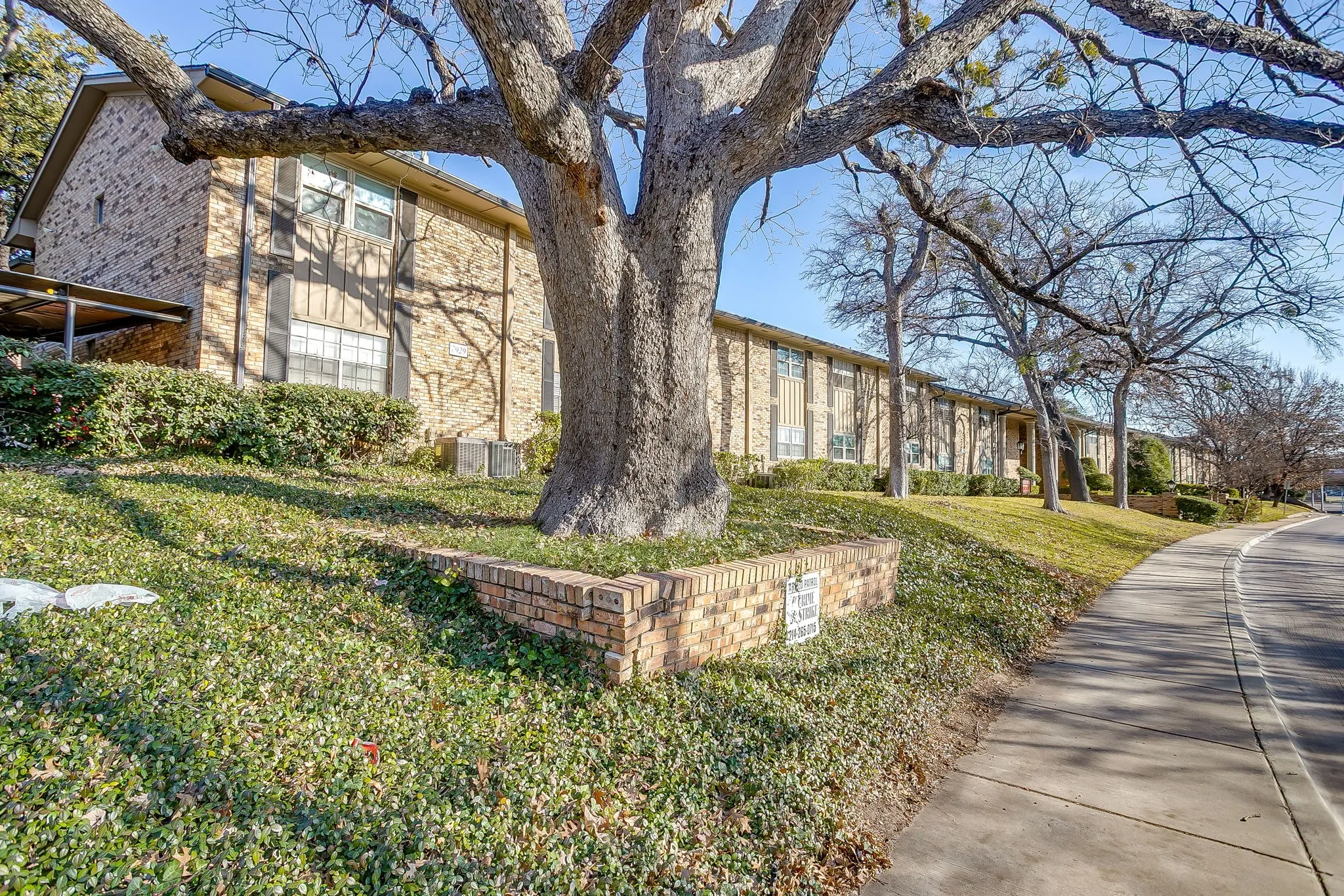 Brick exterior building with prominent mature tree and established landscaping