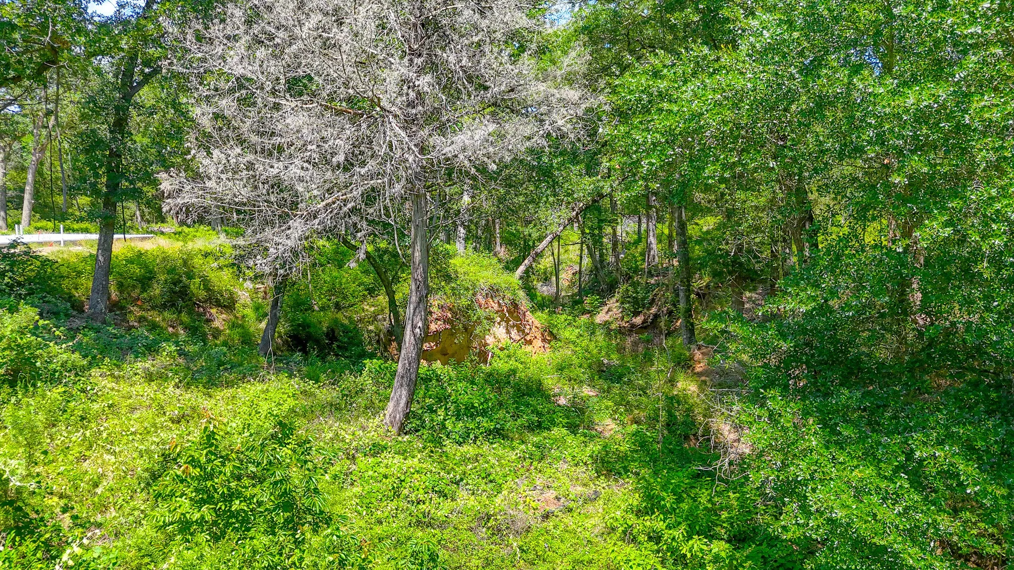 Unimproved Land For Sale in Freestone County , Lot 141 Shenandoah Drive, Streetman, Texas 75859, 0, 0, Garage spaces, 0 Sqft, built in 0, Price $40,000, mls#21277309, Real Estate Agent in Streetman, Homes For Sale in Freestone county, Homes For Sale in Streetman, Realtor in Streetman Texas, Real Estate Brokerage Independent Realty Texas, Luminita Cordes Realtor