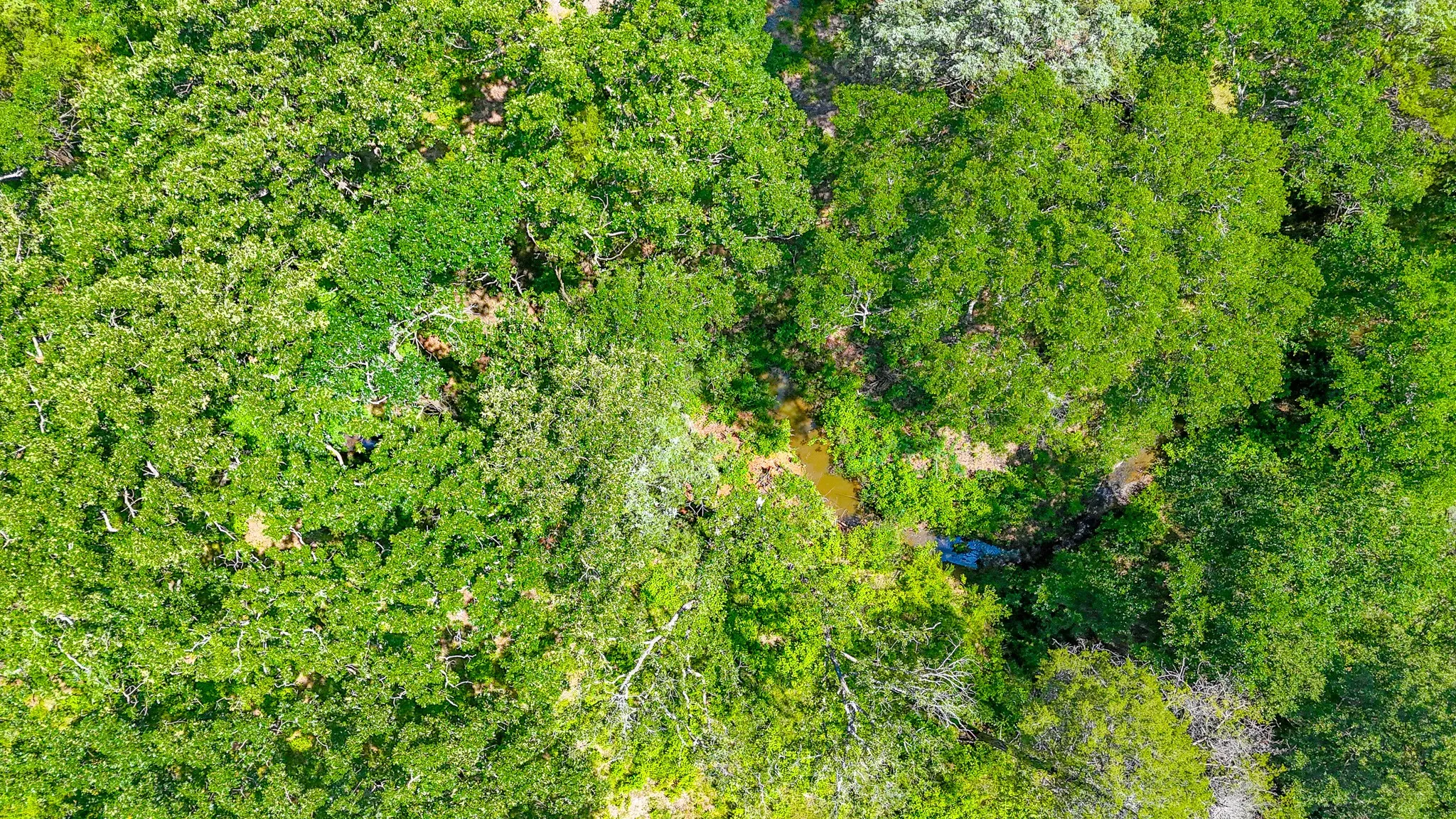 Unimproved Land For Sale in Freestone County , Lot 141 Shenandoah Drive, Streetman, Texas 75859, 0, 0, Garage spaces, 0 Sqft, built in 0, Price $40,000, mls#21277309, Real Estate Agent in Streetman, Homes For Sale in Freestone county, Homes For Sale in Streetman, Realtor in Streetman Texas, Real Estate Brokerage Independent Realty Texas, Luminita Cordes Realtor