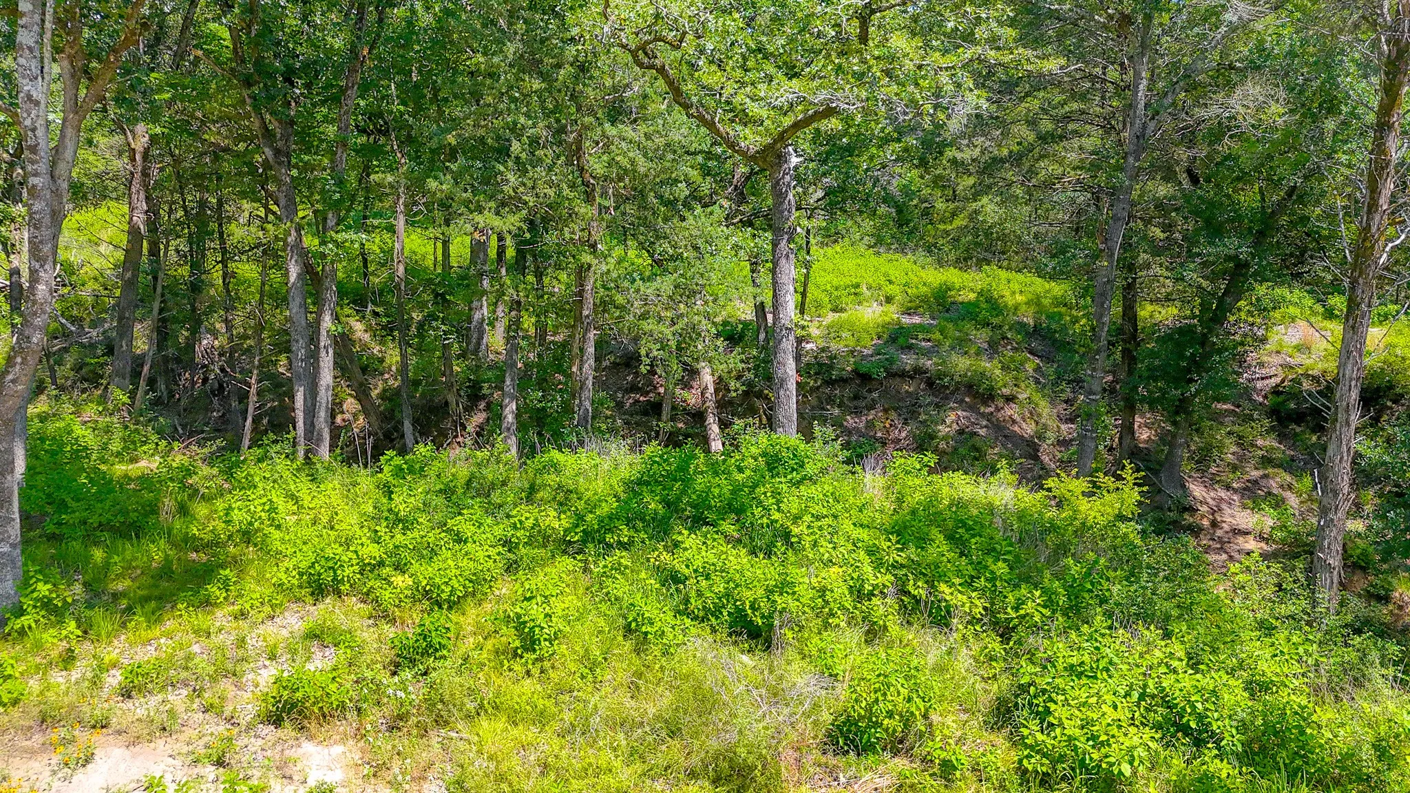 Unimproved Land For Sale in Freestone County , Lot 141 Shenandoah Drive, Streetman, Texas 75859, 0, 0, Garage spaces, 0 Sqft, built in 0, Price $40,000, mls#21277309, Real Estate Agent in Streetman, Homes For Sale in Freestone county, Homes For Sale in Streetman, Realtor in Streetman Texas, Real Estate Brokerage Independent Realty Texas, Luminita Cordes Realtor
