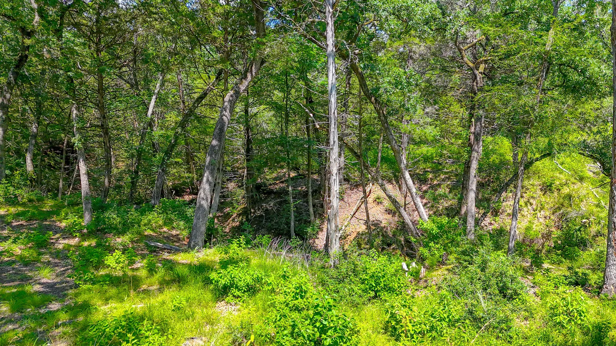 Unimproved Land For Sale in Freestone County , Lot 141 Shenandoah Drive, Streetman, Texas 75859, 0, 0, Garage spaces, 0 Sqft, built in 0, Price $40,000, mls#21277309, Real Estate Agent in Streetman, Homes For Sale in Freestone county, Homes For Sale in Streetman, Realtor in Streetman Texas, Real Estate Brokerage Independent Realty Texas, Luminita Cordes Realtor