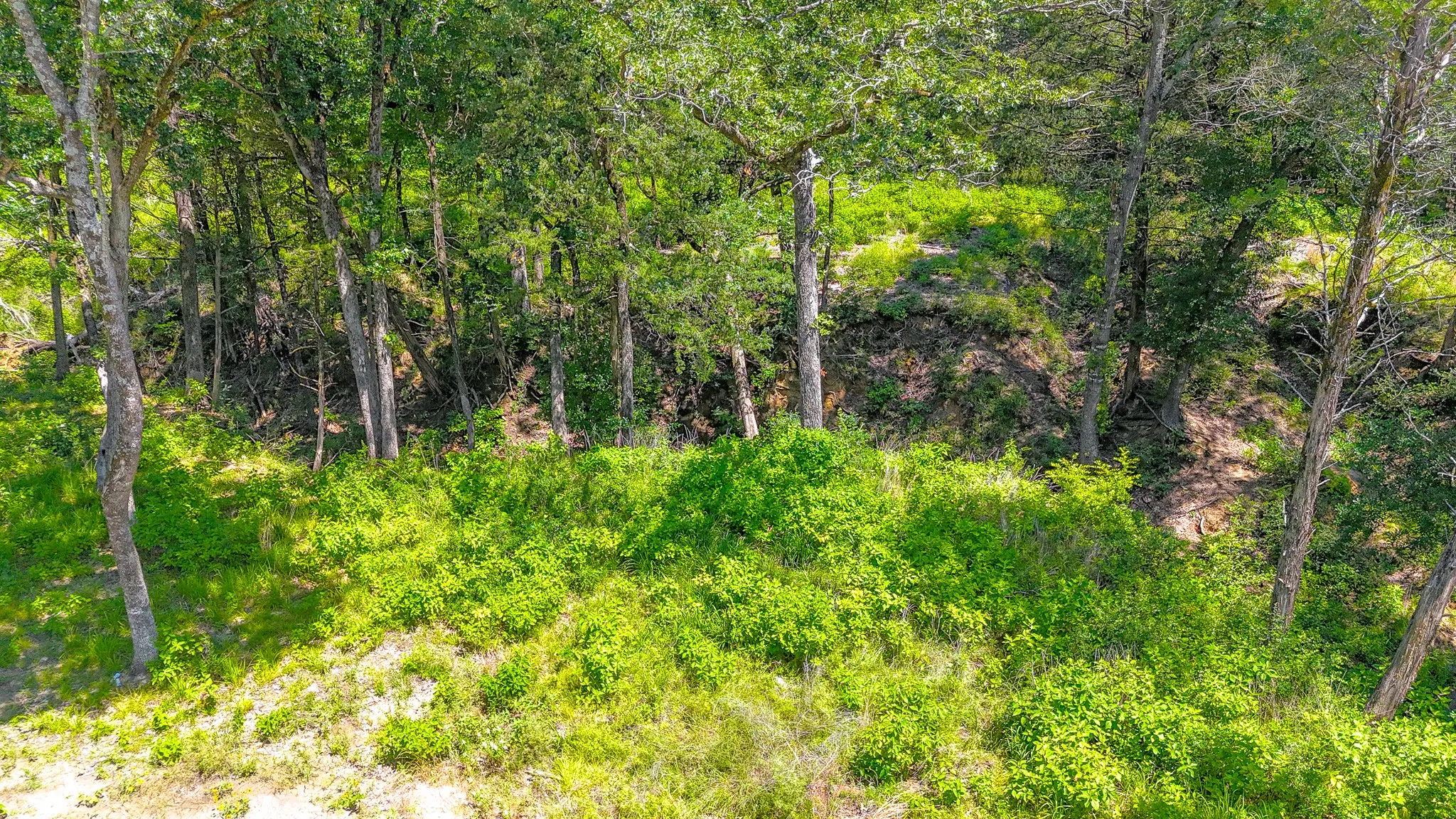 Unimproved Land For Sale in Freestone County , Lot 141 Shenandoah Drive, Streetman, Texas 75859, 0, 0, Garage spaces, 0 Sqft, built in 0, Price $40,000, mls#21277309, Real Estate Agent in Streetman, Homes For Sale in Freestone county, Homes For Sale in Streetman, Realtor in Streetman Texas, Real Estate Brokerage Independent Realty Texas, Luminita Cordes Realtor