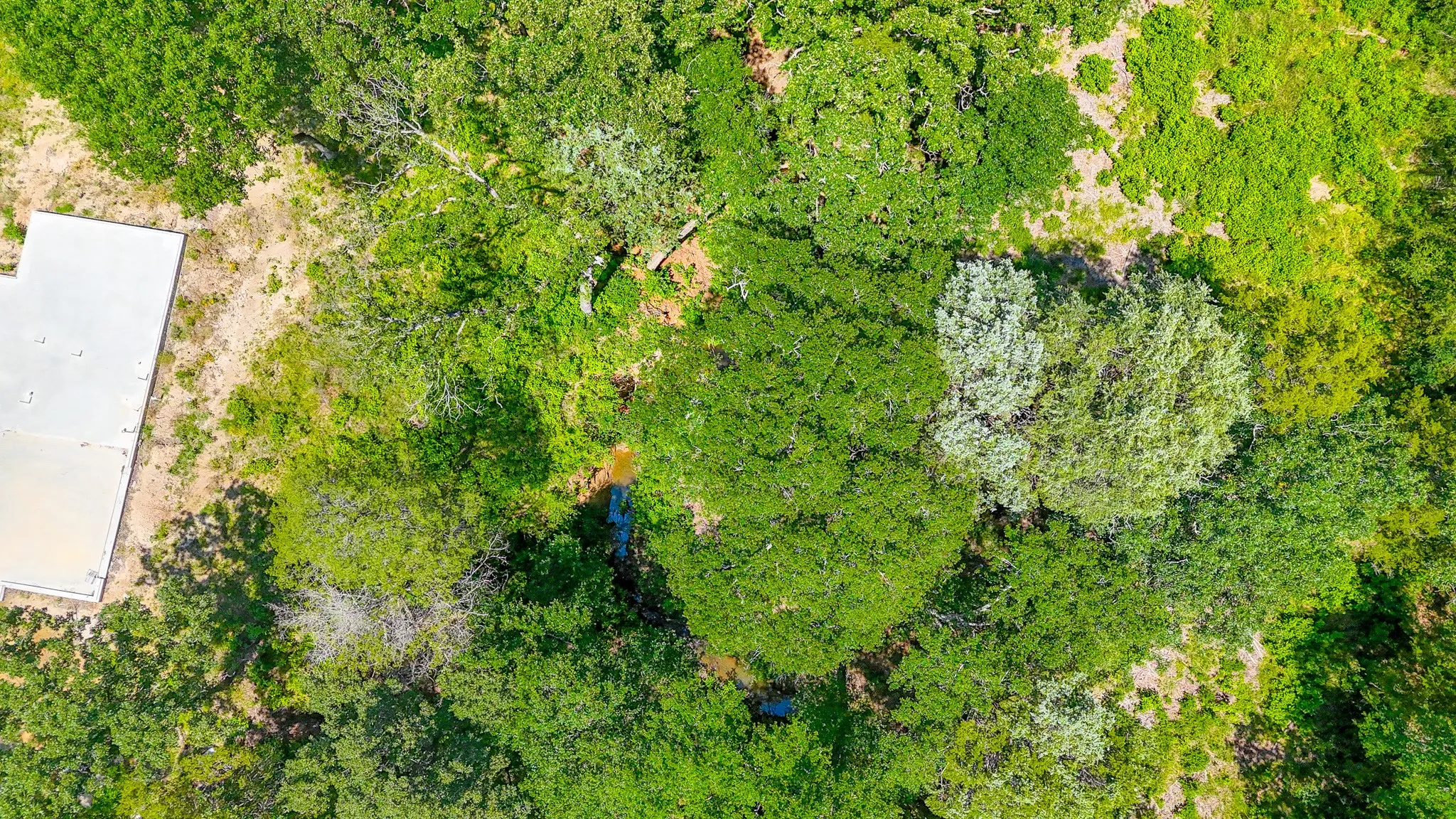 Unimproved Land For Sale in Freestone County , Lot 141 Shenandoah Drive, Streetman, Texas 75859, 0, 0, Garage spaces, 0 Sqft, built in 0, Price $40,000, mls#21277309, Real Estate Agent in Streetman, Homes For Sale in Freestone county, Homes For Sale in Streetman, Realtor in Streetman Texas, Real Estate Brokerage Independent Realty Texas, Luminita Cordes Realtor