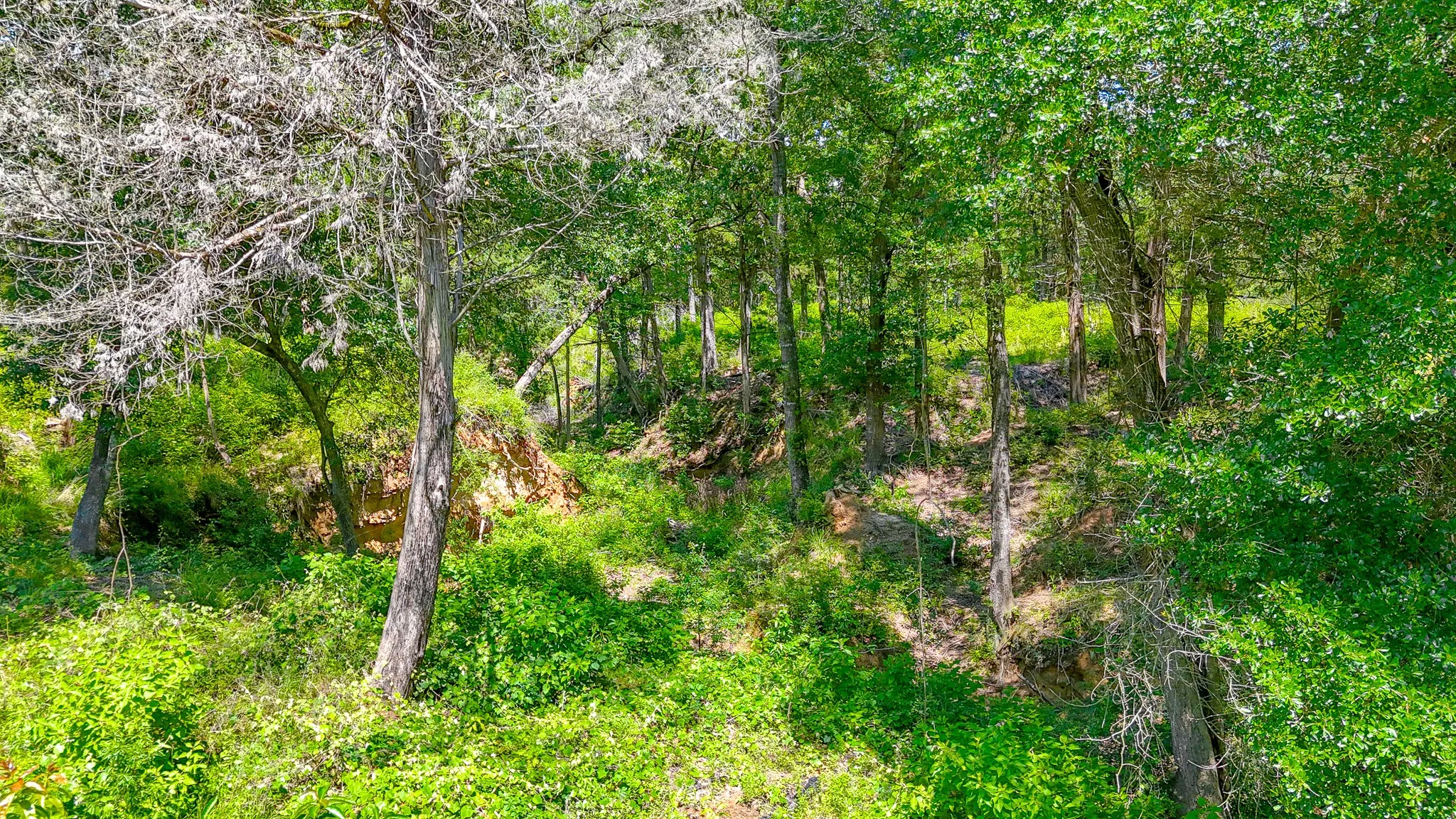 Unimproved Land For Sale in Freestone County , Lot 141 Shenandoah Drive, Streetman, Texas 75859, 0, 0, Garage spaces, 0 Sqft, built in 0, Price $40,000, mls#21277309, Real Estate Agent in Streetman, Homes For Sale in Freestone county, Homes For Sale in Streetman, Realtor in Streetman Texas, Real Estate Brokerage Independent Realty Texas, Luminita Cordes Realtor