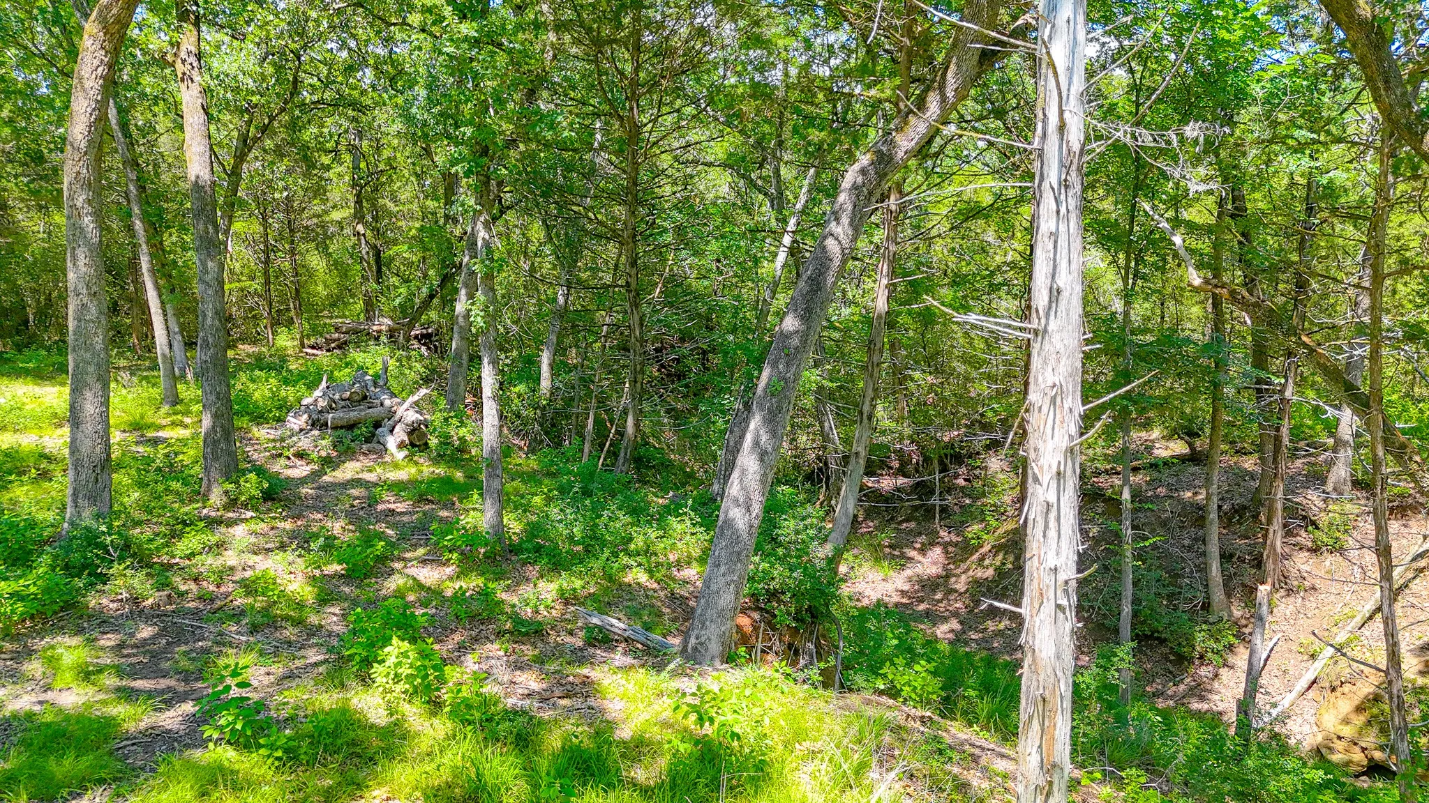 Unimproved Land For Sale in Freestone County , Lot 141 Shenandoah Drive, Streetman, Texas 75859, 0, 0, Garage spaces, 0 Sqft, built in 0, Price $40,000, mls#21277309, Real Estate Agent in Streetman, Homes For Sale in Freestone county, Homes For Sale in Streetman, Realtor in Streetman Texas, Real Estate Brokerage Independent Realty Texas, Luminita Cordes Realtor