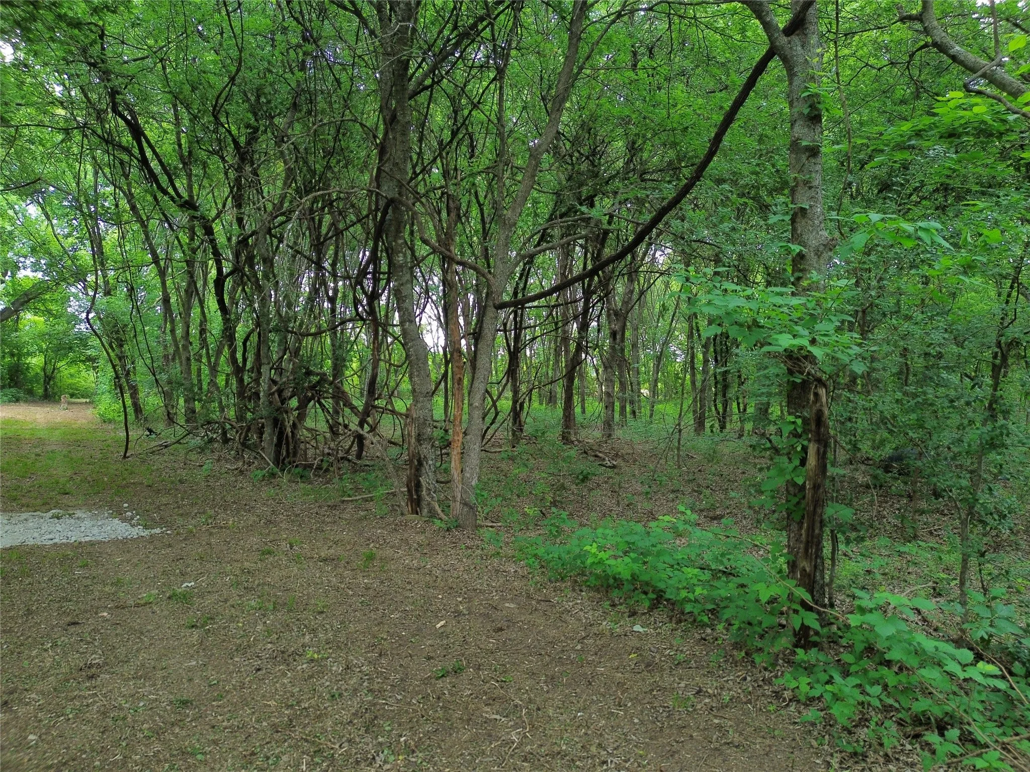 Unimproved Land For Sale in Hill County , N / A PRIVATE ROAD 433, Milford, Texas 76670, 0, 0, Garage spaces, 0 Sqft, built in 0, mls#21279702, Real Estate Agent in Milford, Homes For Sale in Hill county, Homes For Sale in Milford, Realtor in Milford Texas, Real Estate Brokerage Independent Realty Texas, Luminita Cordes Realtor