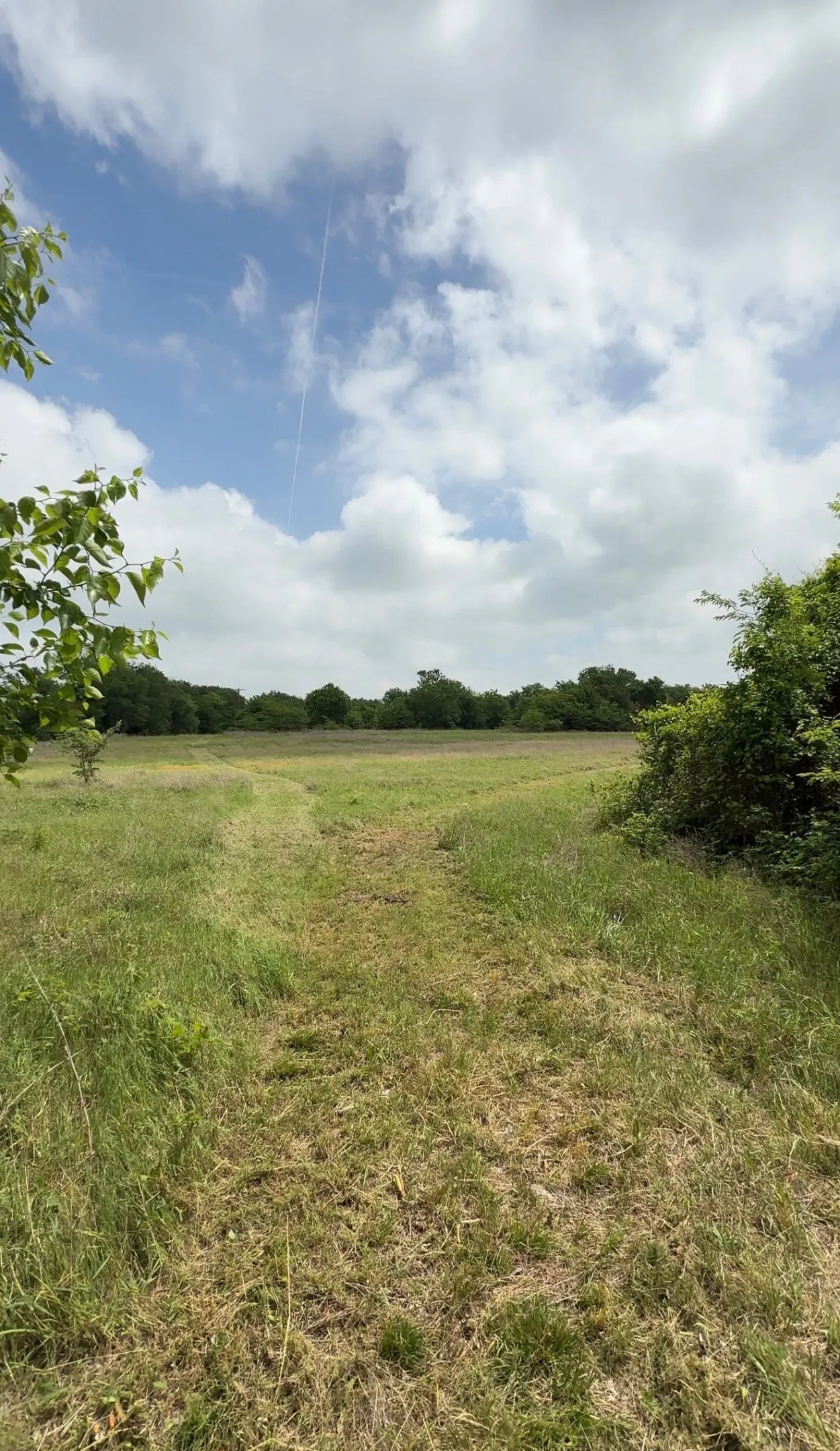Unimproved Land For Sale in Hill County , N / A PRIVATE ROAD 433, Milford, Texas 76670, 0, 0, Garage spaces, 0 Sqft, built in 0, mls#21279702, Real Estate Agent in Milford, Homes For Sale in Hill county, Homes For Sale in Milford, Realtor in Milford Texas, Real Estate Brokerage Independent Realty Texas, Luminita Cordes Realtor