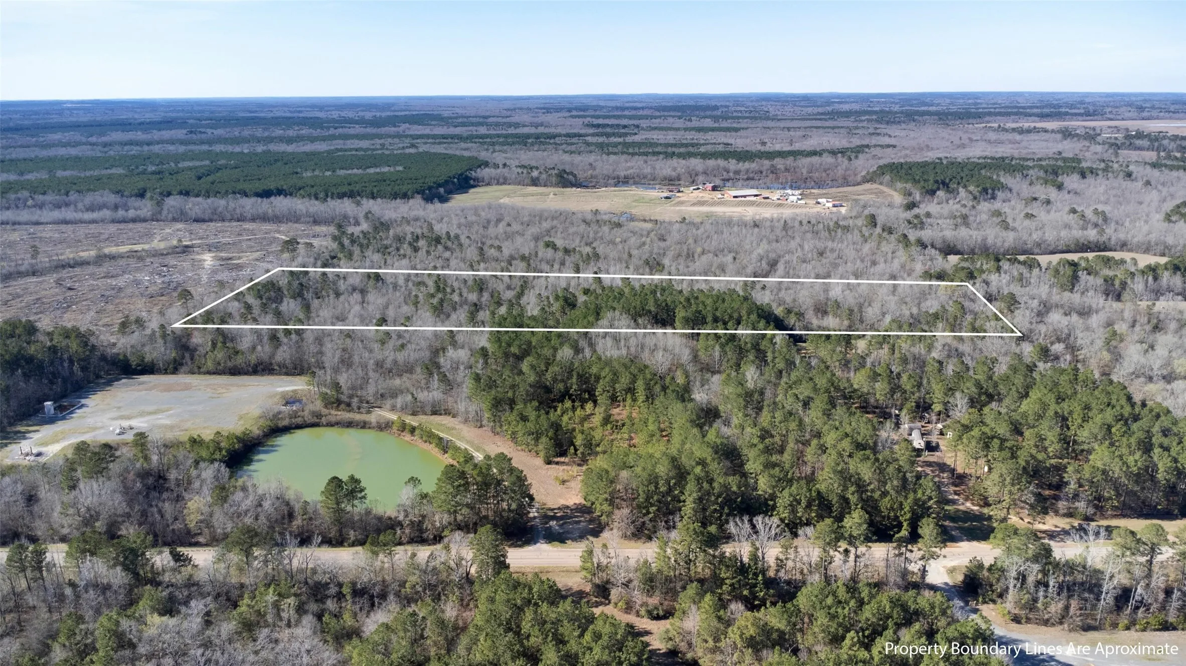 Expansive wooded acreage featuring a defined property boundary