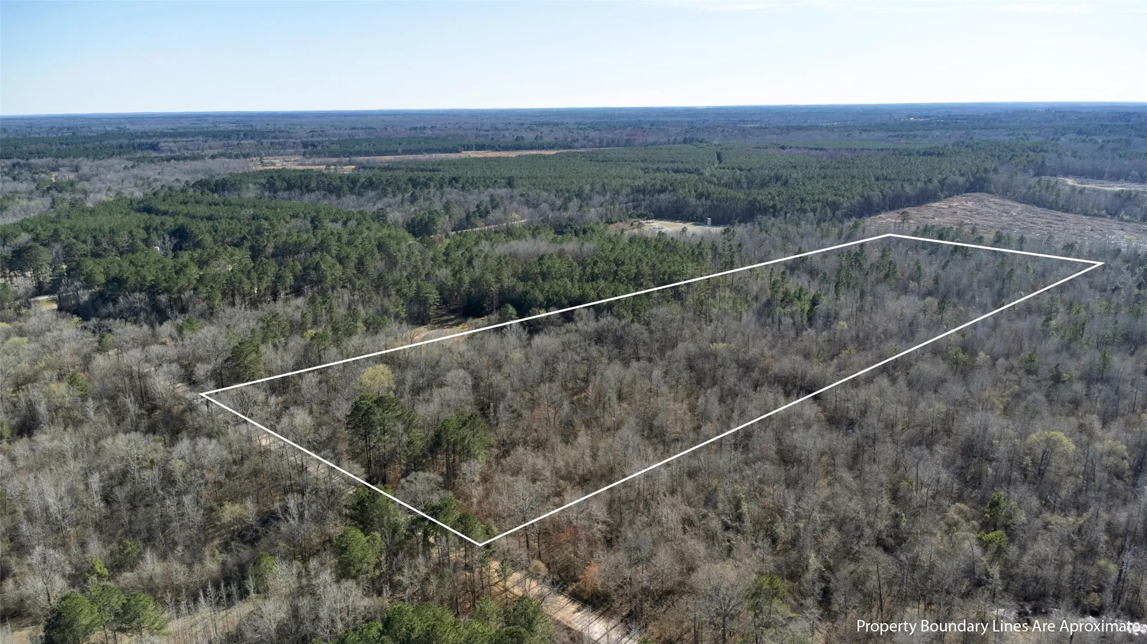 Expansive wooded acreage featuring diverse tree coverage