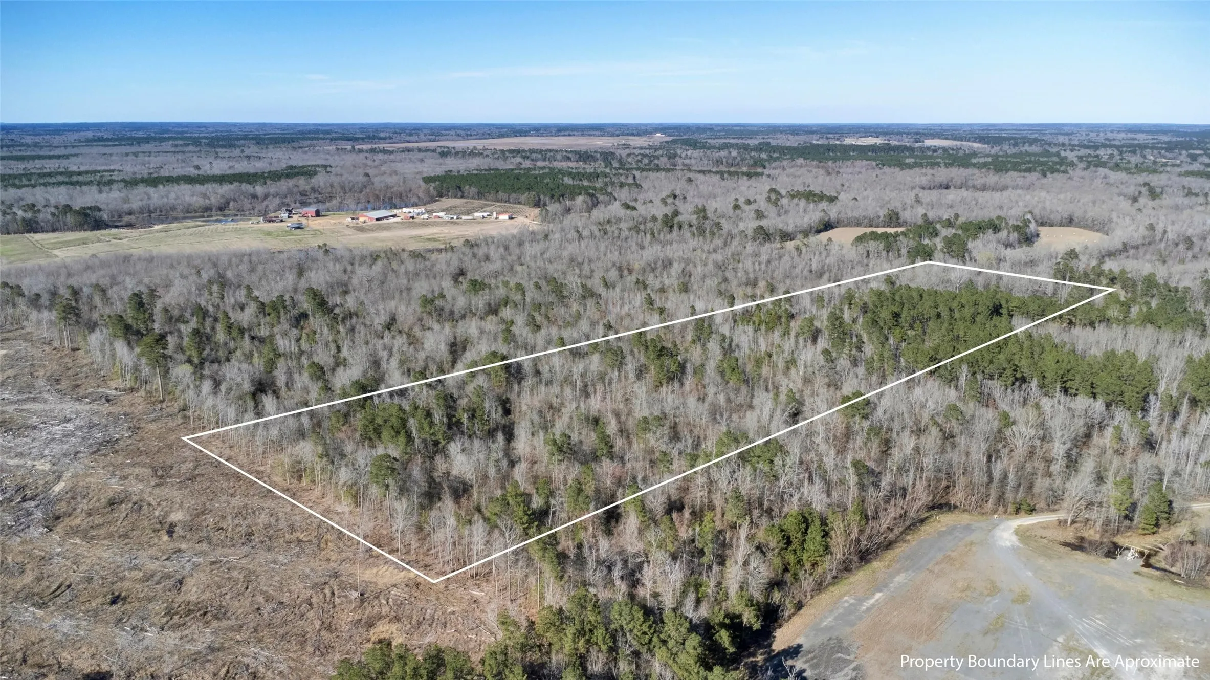 Expansive wooded acreage featuring a mix of deciduous and evergreen trees, with a cleared area bordering one side