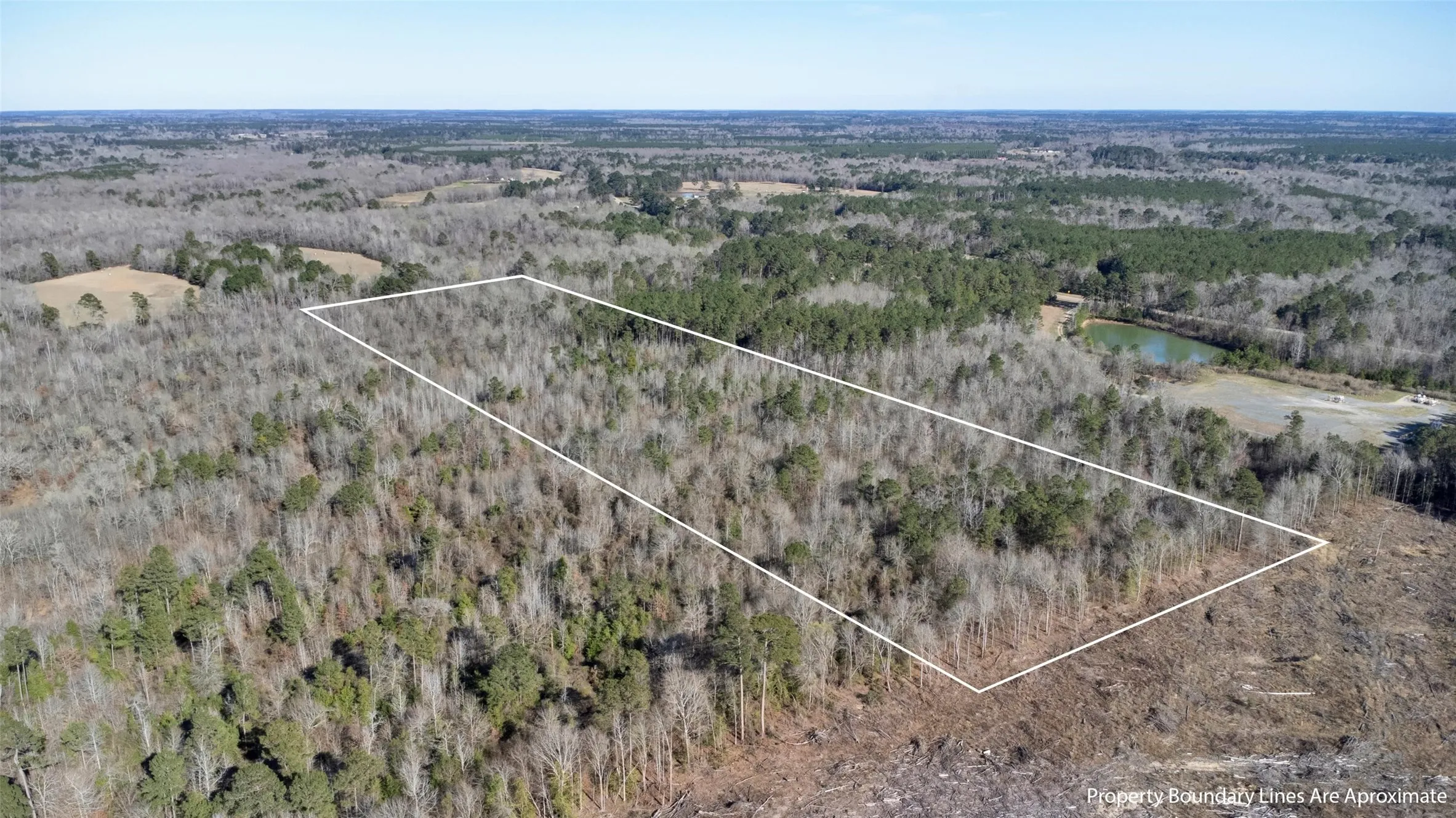 Expansive wooded acreage featuring a mix of deciduous and evergreen trees, bordered by a cleared area