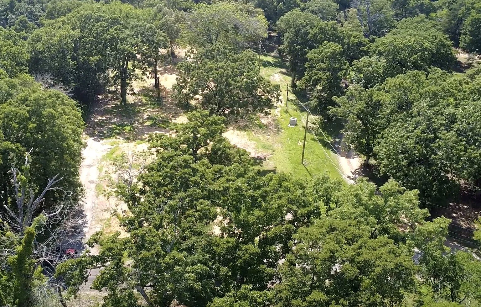 Expansive wooded acreage featuring mature trees and a cleared pathway