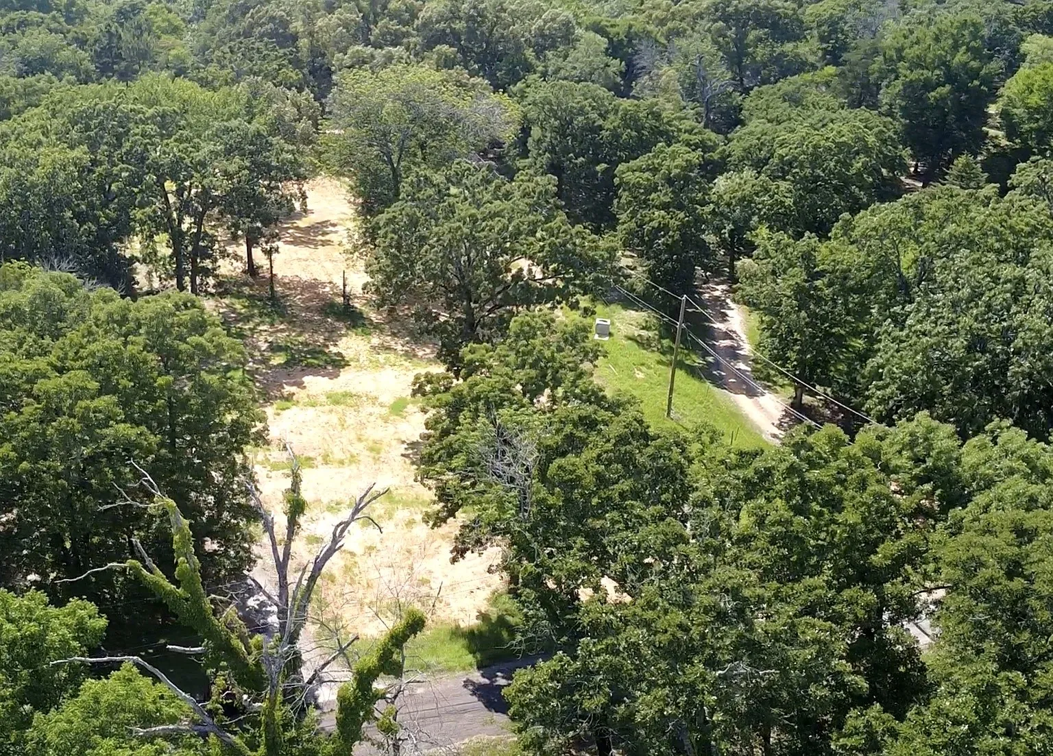 Expansive wooded acreage featuring mature trees and a cleared pathway