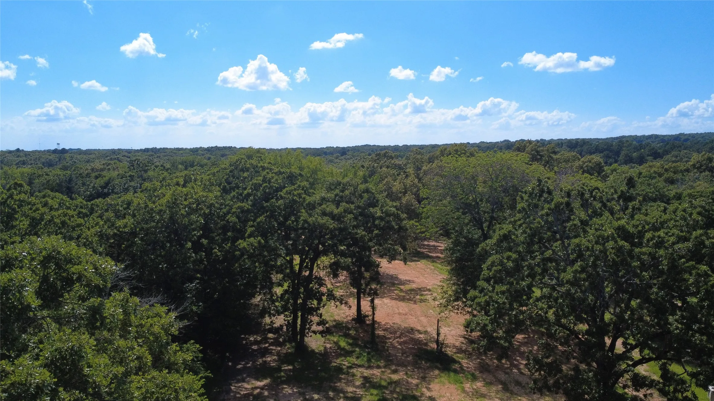 Expansive wooded acreage featuring mature trees and a cleared path