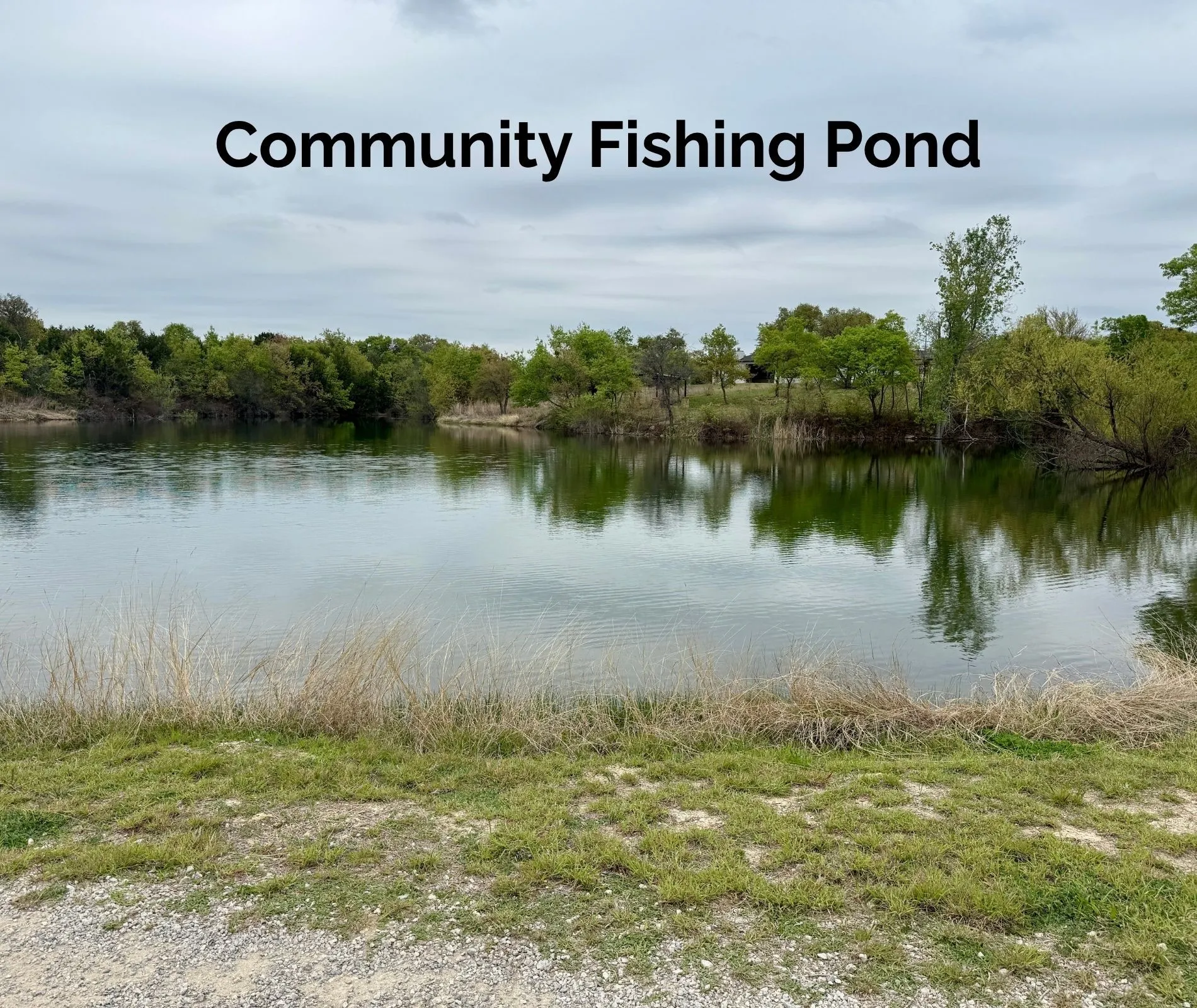 Community Fishing Pond