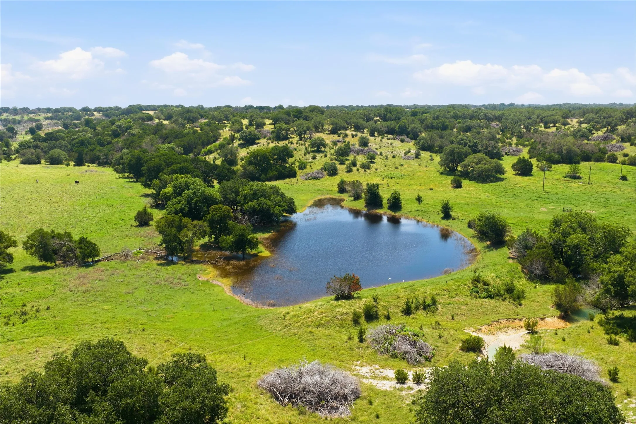Ranch For Sale in Bosque County , 771 County Road 2130, Meridian, Texas 76665, 0, 0, Garage spaces, 0 Sqft, built in 0, mls#21280301, Real Estate Agent in Meridian, Homes For Sale in Bosque county, Homes For Sale in Meridian, Realtor in Meridian Texas, Real Estate Brokerage Independent Realty Texas, Luminita Cordes Realtor