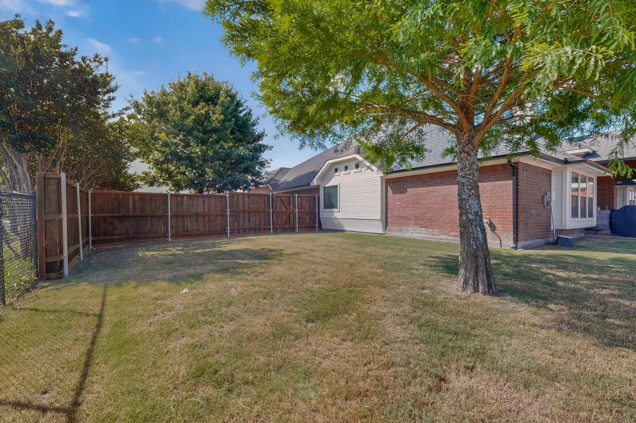 Expansive backyard featuring a mature tree, wood privacy fencing, and a chain-link fence