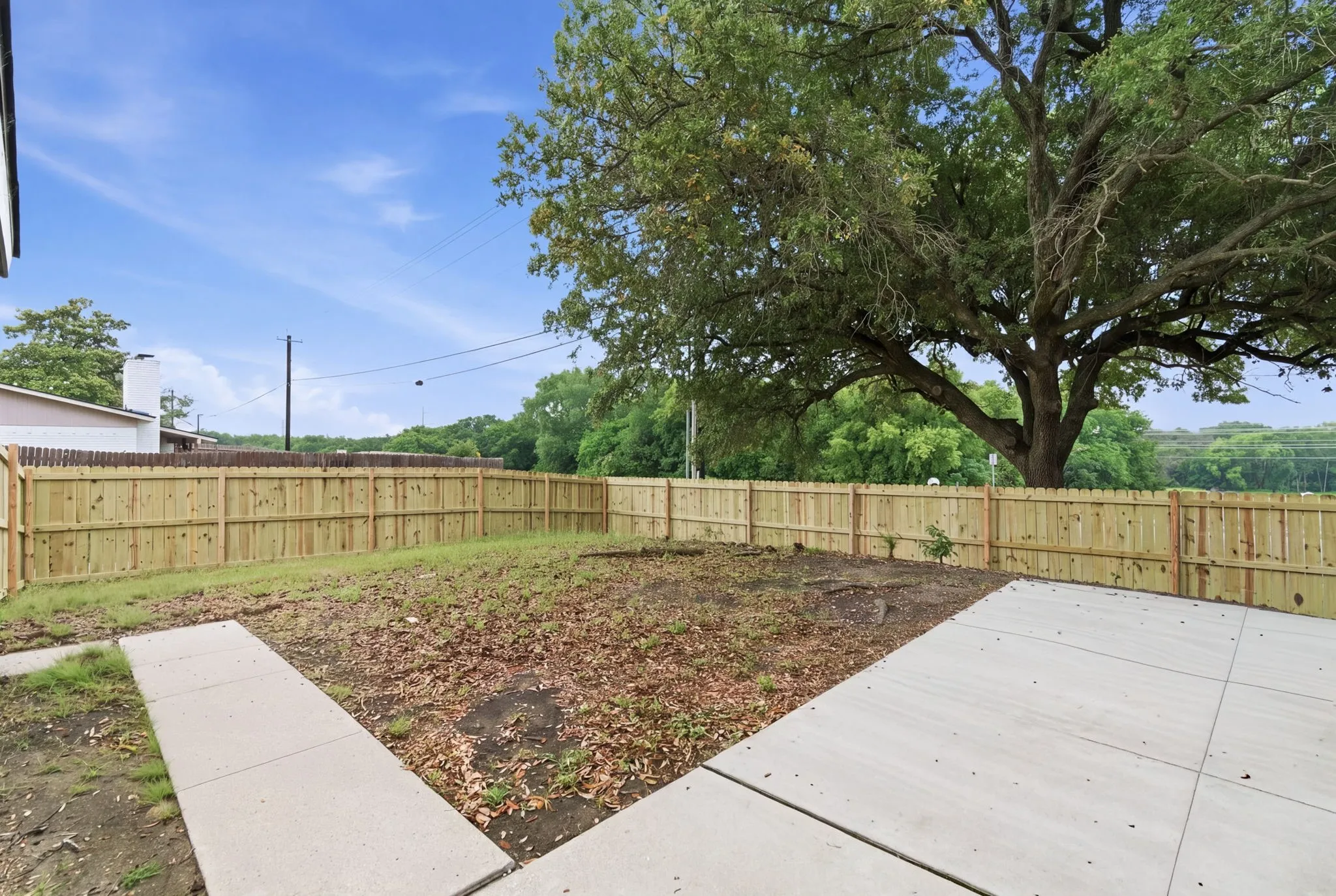 Spacious backyard featuring a newly installed privacy fence, mature shade tree, and concrete patio