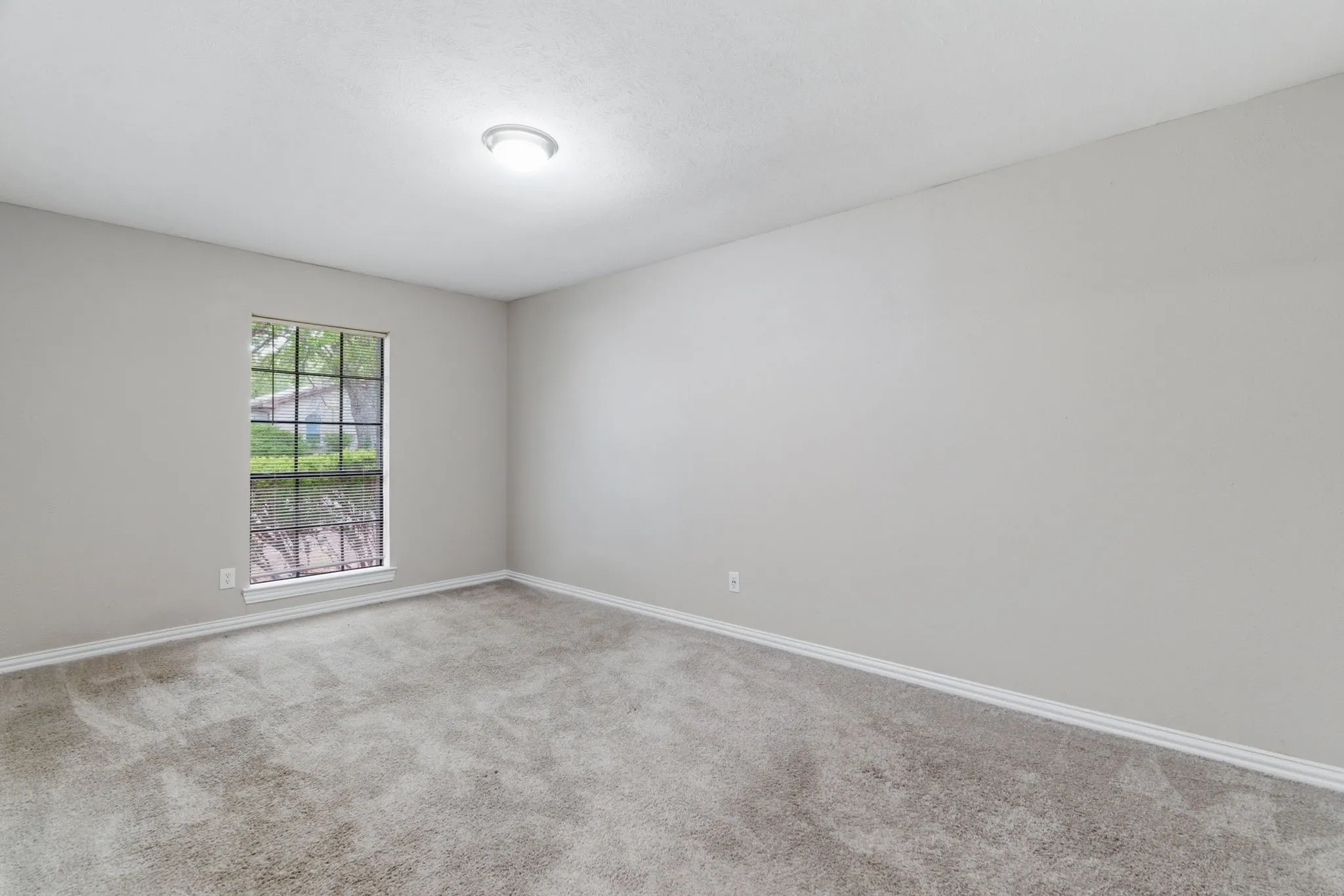 Room featuring neutral-toned carpeting, light gray wall paint, and white baseboards