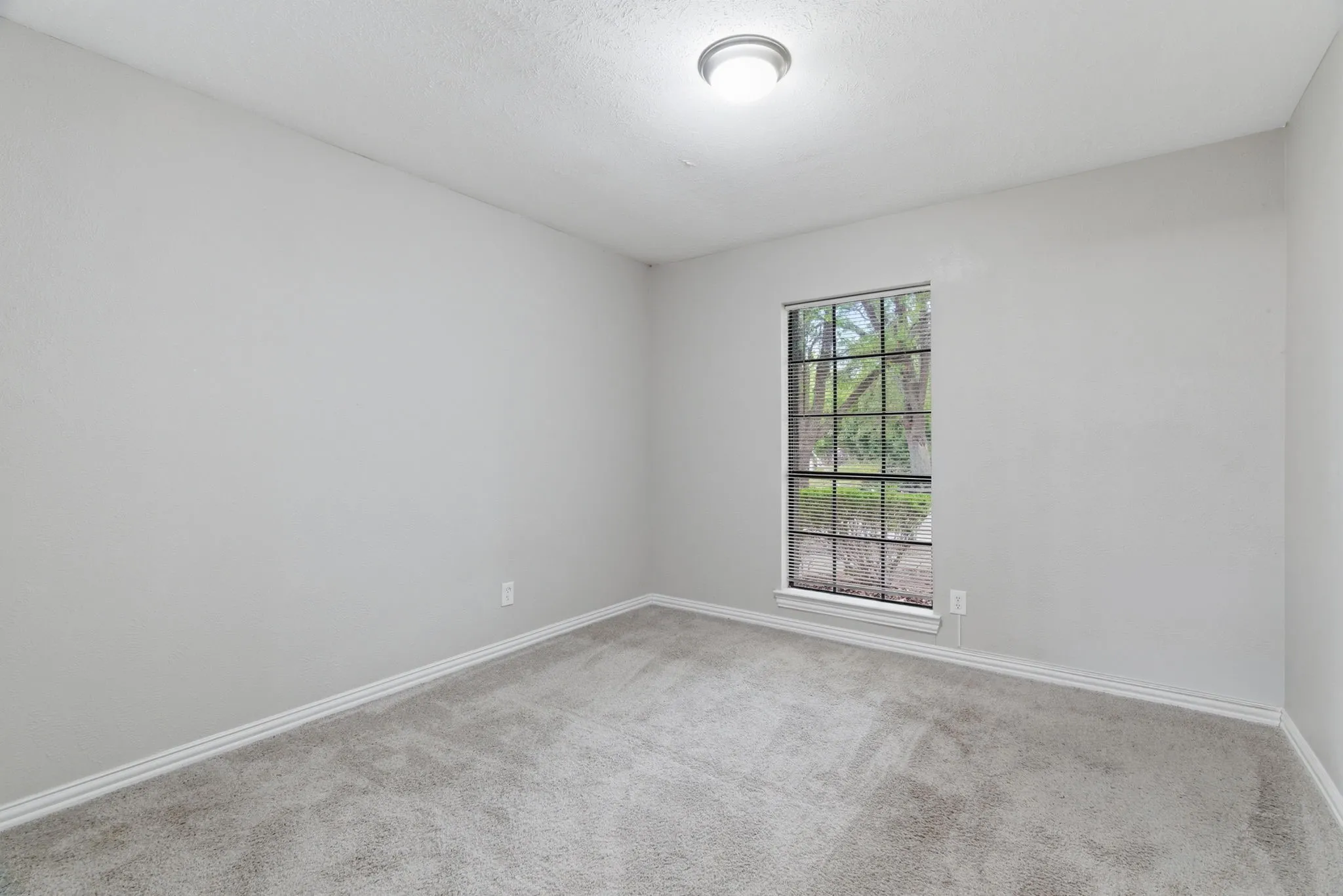 Neutral-toned room featuring a single window with grids, light gray carpeting, and a flush-mount ceiling light fixture