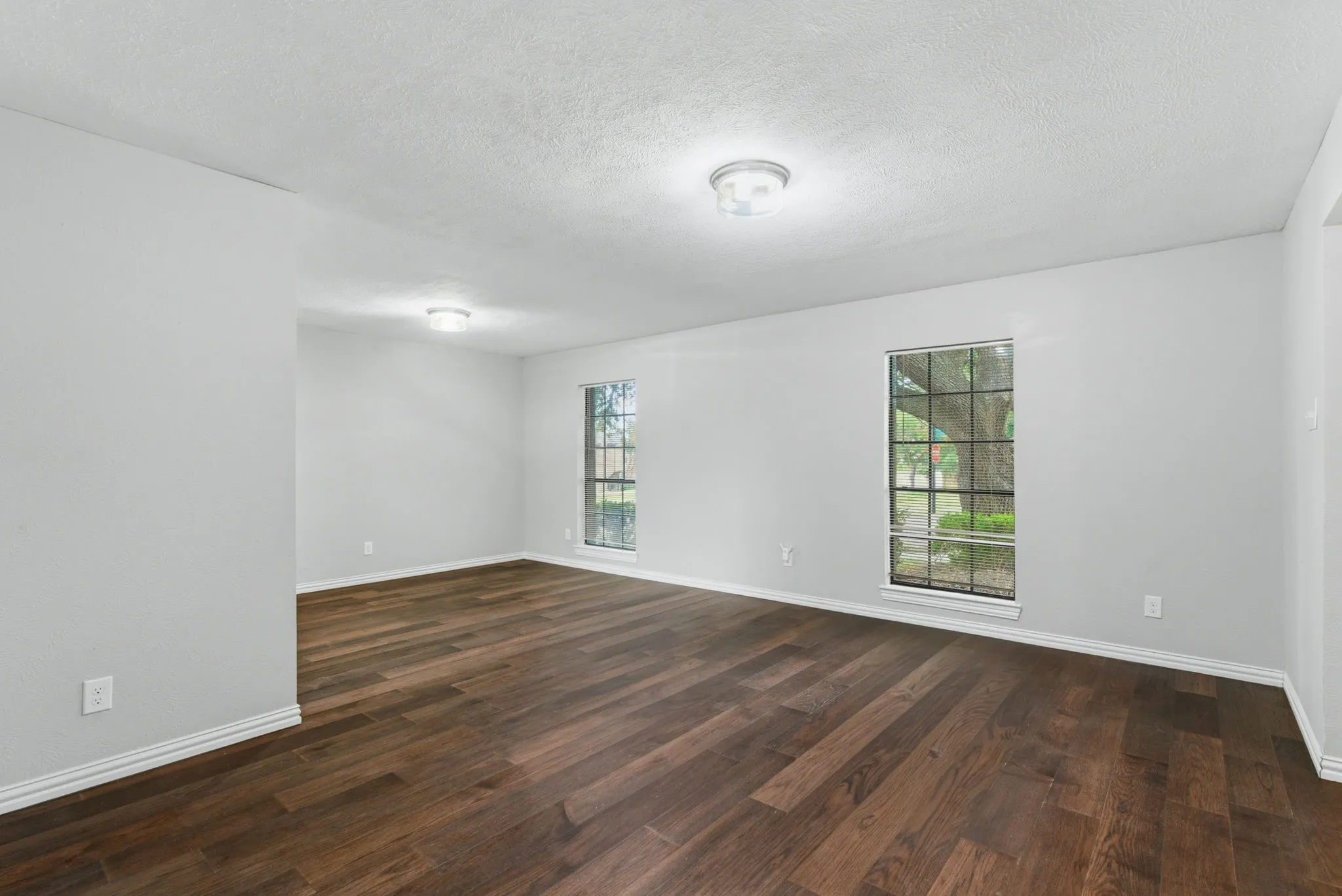 Spacious room featuring wood-finish flooring, light gray wall paint, and two large windows with grid patterns
