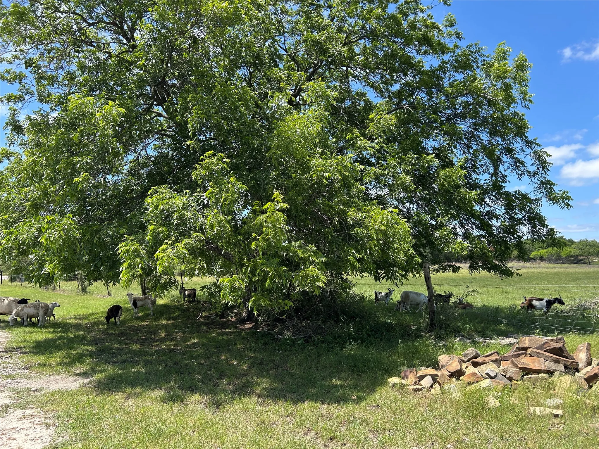 Farm For Sale in Mills County , 495 FM 2005, Goldthwaite, Texas 76844, 3 Bedroom, 2 Bathroom, Garage spaces, 1,500 Sqft, built in 2012, Price $569,000, mls#21276946, Real Estate Agent in Goldthwaite, Homes For Sale in Mills county, Homes For Sale in Goldthwaite, Realtor in Goldthwaite Texas, Real Estate Brokerage Independent Realty Texas, Luminita Cordes Realtor