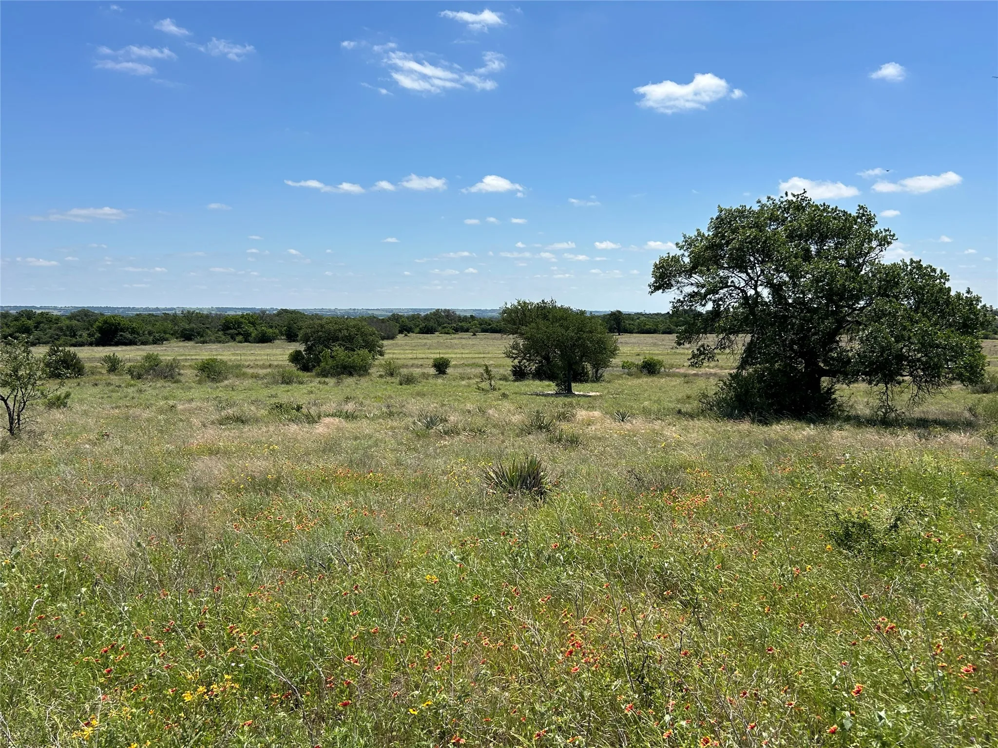 Farm For Sale in Mills County , 495 FM 2005, Goldthwaite, Texas 76844, 3 Bedroom, 2 Bathroom, Garage spaces, 1,500 Sqft, built in 2012, Price $569,000, mls#21276946, Real Estate Agent in Goldthwaite, Homes For Sale in Mills county, Homes For Sale in Goldthwaite, Realtor in Goldthwaite Texas, Real Estate Brokerage Independent Realty Texas, Luminita Cordes Realtor
