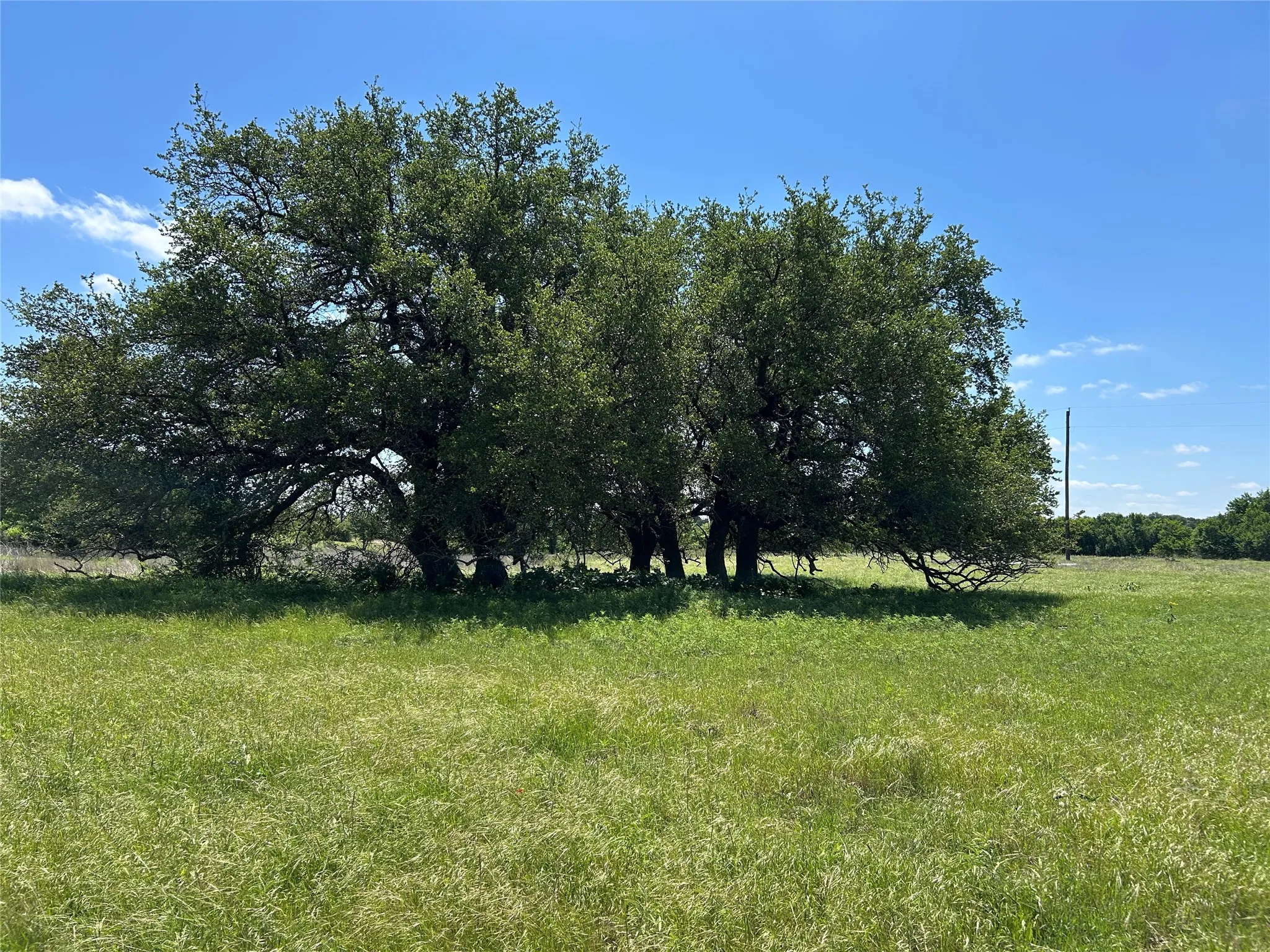 Farm For Sale in Mills County , 495 FM 2005, Goldthwaite, Texas 76844, 3 Bedroom, 2 Bathroom, Garage spaces, 1,500 Sqft, built in 2012, Price $569,000, mls#21276946, Real Estate Agent in Goldthwaite, Homes For Sale in Mills county, Homes For Sale in Goldthwaite, Realtor in Goldthwaite Texas, Real Estate Brokerage Independent Realty Texas, Luminita Cordes Realtor