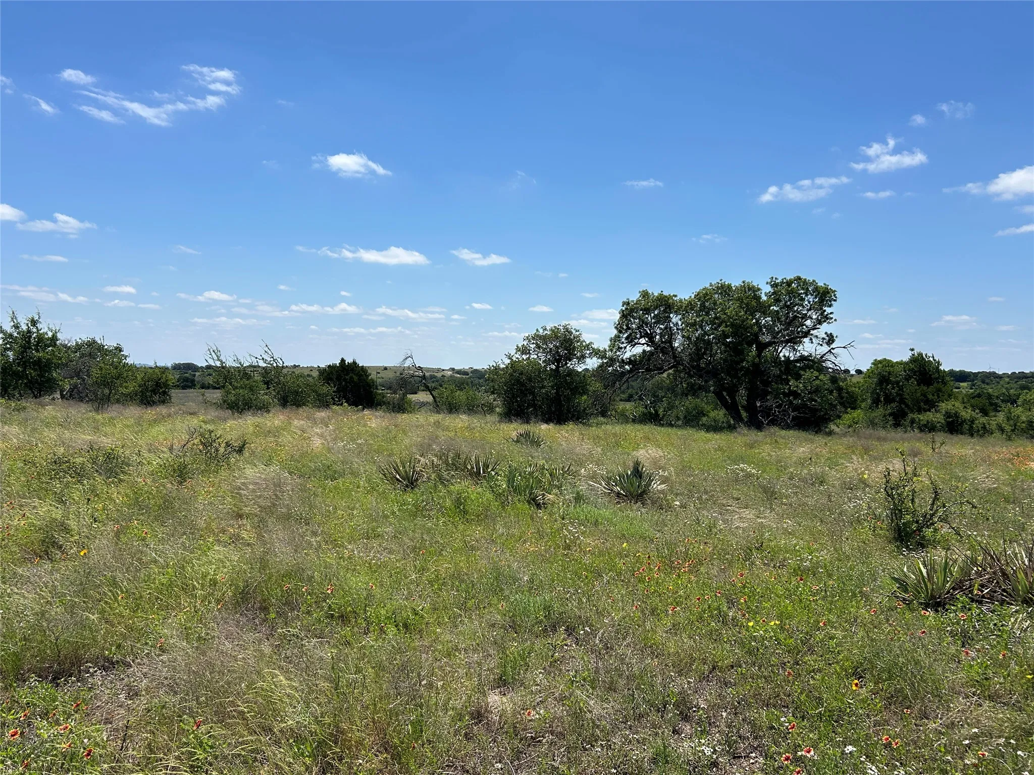 Farm For Sale in Mills County , 495 FM 2005, Goldthwaite, Texas 76844, 3 Bedroom, 2 Bathroom, Garage spaces, 1,500 Sqft, built in 2012, Price $569,000, mls#21276946, Real Estate Agent in Goldthwaite, Homes For Sale in Mills county, Homes For Sale in Goldthwaite, Realtor in Goldthwaite Texas, Real Estate Brokerage Independent Realty Texas, Luminita Cordes Realtor