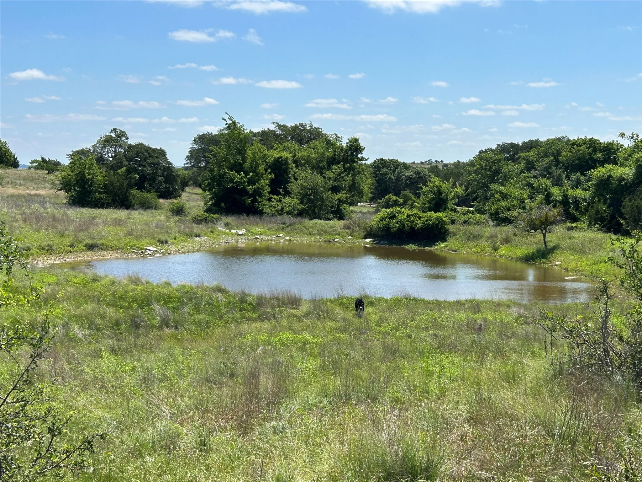 Farm For Sale in Mills County , 495 FM 2005, Goldthwaite, Texas 76844, 3 Bedroom, 2 Bathroom, Garage spaces, 1,500 Sqft, built in 2012, Price $569,000, mls#21276946, Real Estate Agent in Goldthwaite, Homes For Sale in Mills county, Homes For Sale in Goldthwaite, Realtor in Goldthwaite Texas, Real Estate Brokerage Independent Realty Texas, Luminita Cordes Realtor