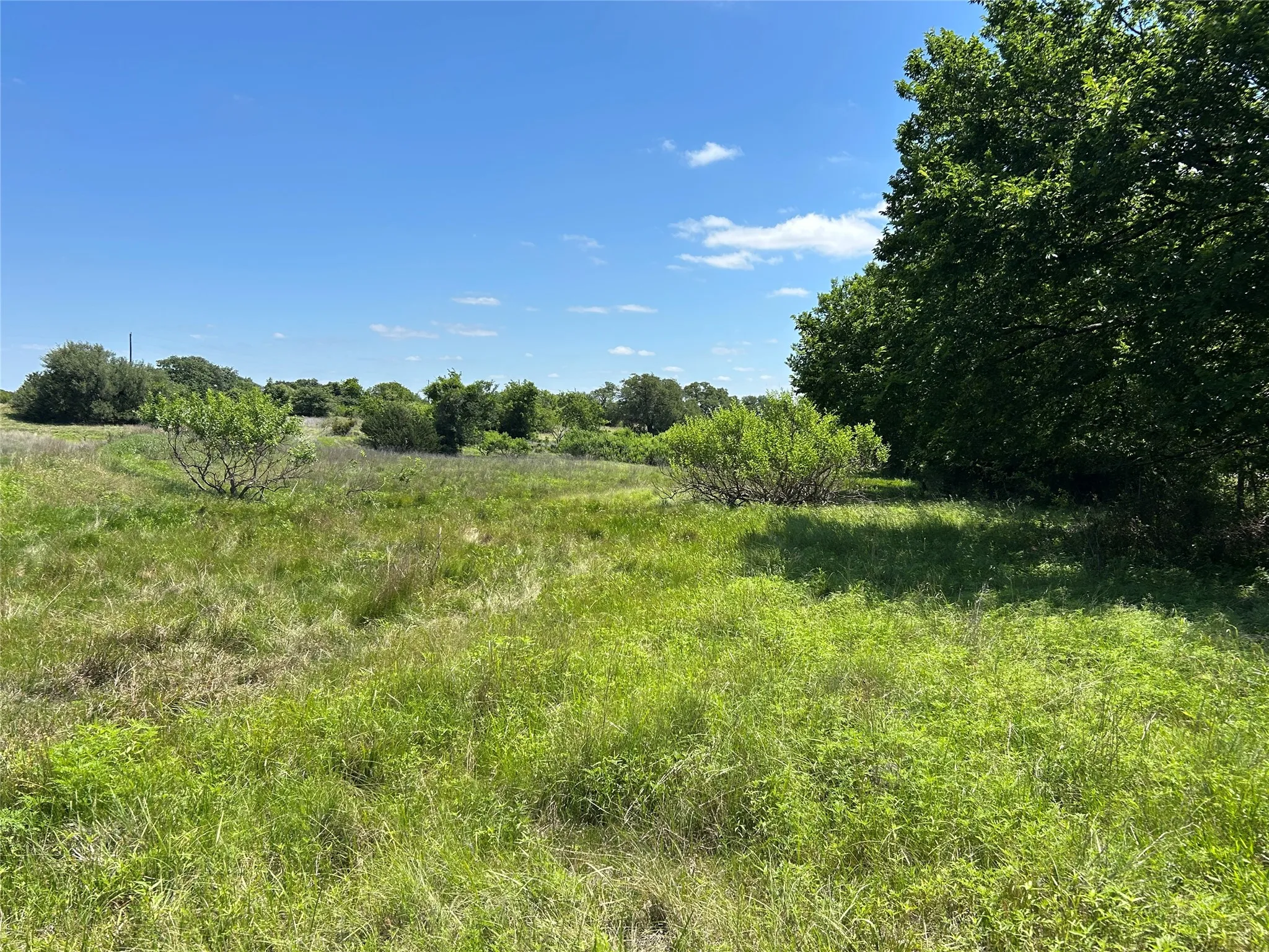 Farm For Sale in Mills County , 495 FM 2005, Goldthwaite, Texas 76844, 3 Bedroom, 2 Bathroom, Garage spaces, 1,500 Sqft, built in 2012, Price $569,000, mls#21276946, Real Estate Agent in Goldthwaite, Homes For Sale in Mills county, Homes For Sale in Goldthwaite, Realtor in Goldthwaite Texas, Real Estate Brokerage Independent Realty Texas, Luminita Cordes Realtor