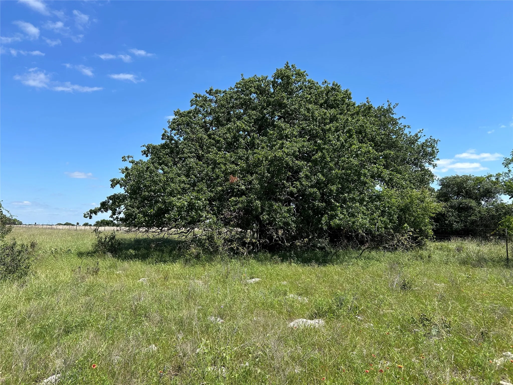 Farm For Sale in Mills County , 495 FM 2005, Goldthwaite, Texas 76844, 3 Bedroom, 2 Bathroom, Garage spaces, 1,500 Sqft, built in 2012, Price $569,000, mls#21276946, Real Estate Agent in Goldthwaite, Homes For Sale in Mills county, Homes For Sale in Goldthwaite, Realtor in Goldthwaite Texas, Real Estate Brokerage Independent Realty Texas, Luminita Cordes Realtor