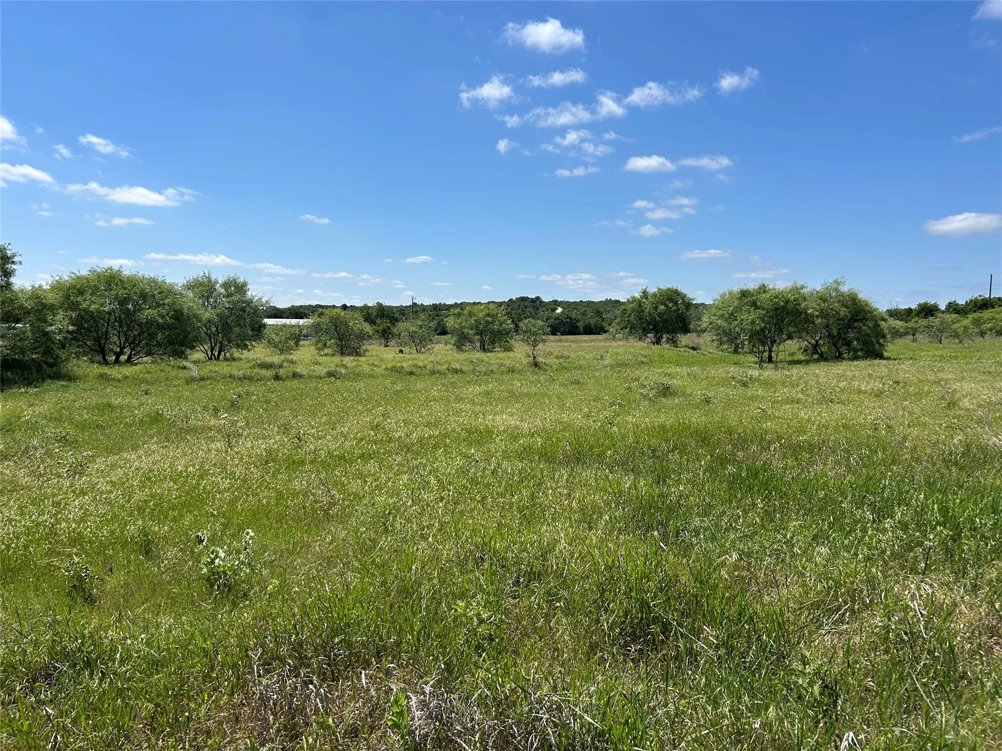 Farm For Sale in Mills County , 495 FM 2005, Goldthwaite, Texas 76844, 3 Bedroom, 2 Bathroom, Garage spaces, 1,500 Sqft, built in 2012, Price $569,000, mls#21276946, Real Estate Agent in Goldthwaite, Homes For Sale in Mills county, Homes For Sale in Goldthwaite, Realtor in Goldthwaite Texas, Real Estate Brokerage Independent Realty Texas, Luminita Cordes Realtor