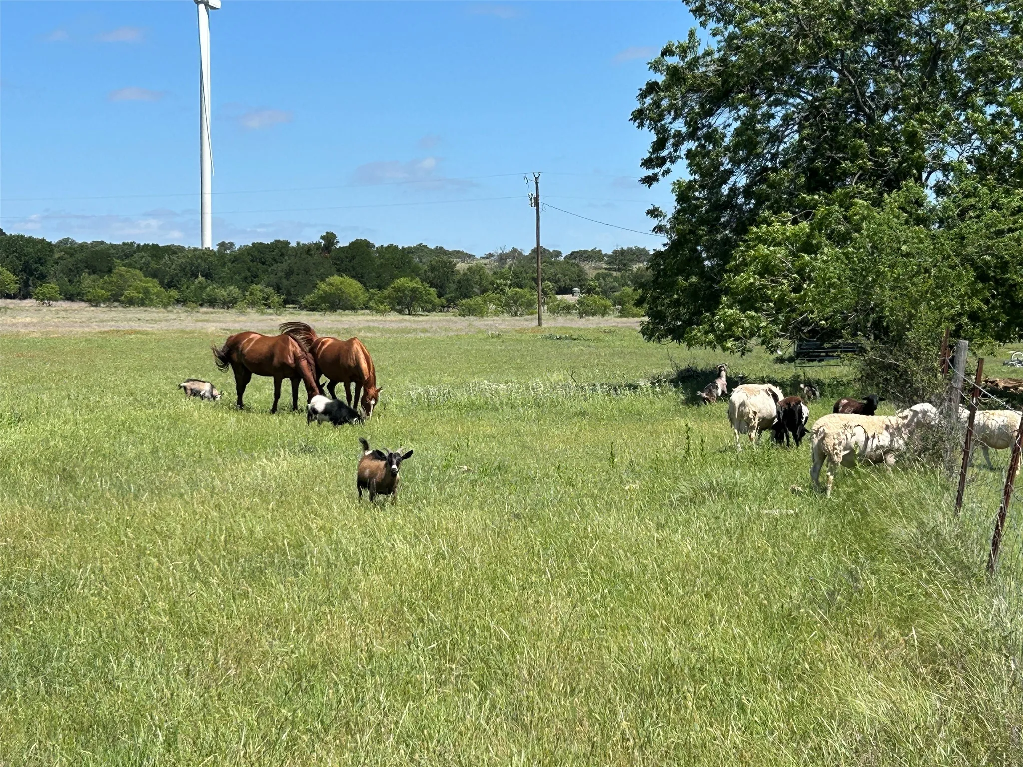 Farm For Sale in Mills County , 495 FM 2005, Goldthwaite, Texas 76844, 3 Bedroom, 2 Bathroom, Garage spaces, 1,500 Sqft, built in 2012, Price $569,000, mls#21276946, Real Estate Agent in Goldthwaite, Homes For Sale in Mills county, Homes For Sale in Goldthwaite, Realtor in Goldthwaite Texas, Real Estate Brokerage Independent Realty Texas, Luminita Cordes Realtor