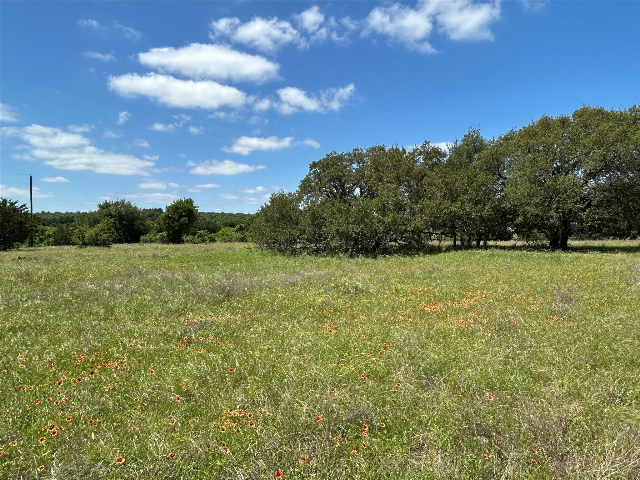 Farm For Sale in Mills County , 495 FM 2005, Goldthwaite, Texas 76844, 3 Bedroom, 2 Bathroom, Garage spaces, 1,500 Sqft, built in 2012, Price $569,000, mls#21276946, Real Estate Agent in Goldthwaite, Homes For Sale in Mills county, Homes For Sale in Goldthwaite, Realtor in Goldthwaite Texas, Real Estate Brokerage Independent Realty Texas, Luminita Cordes Realtor