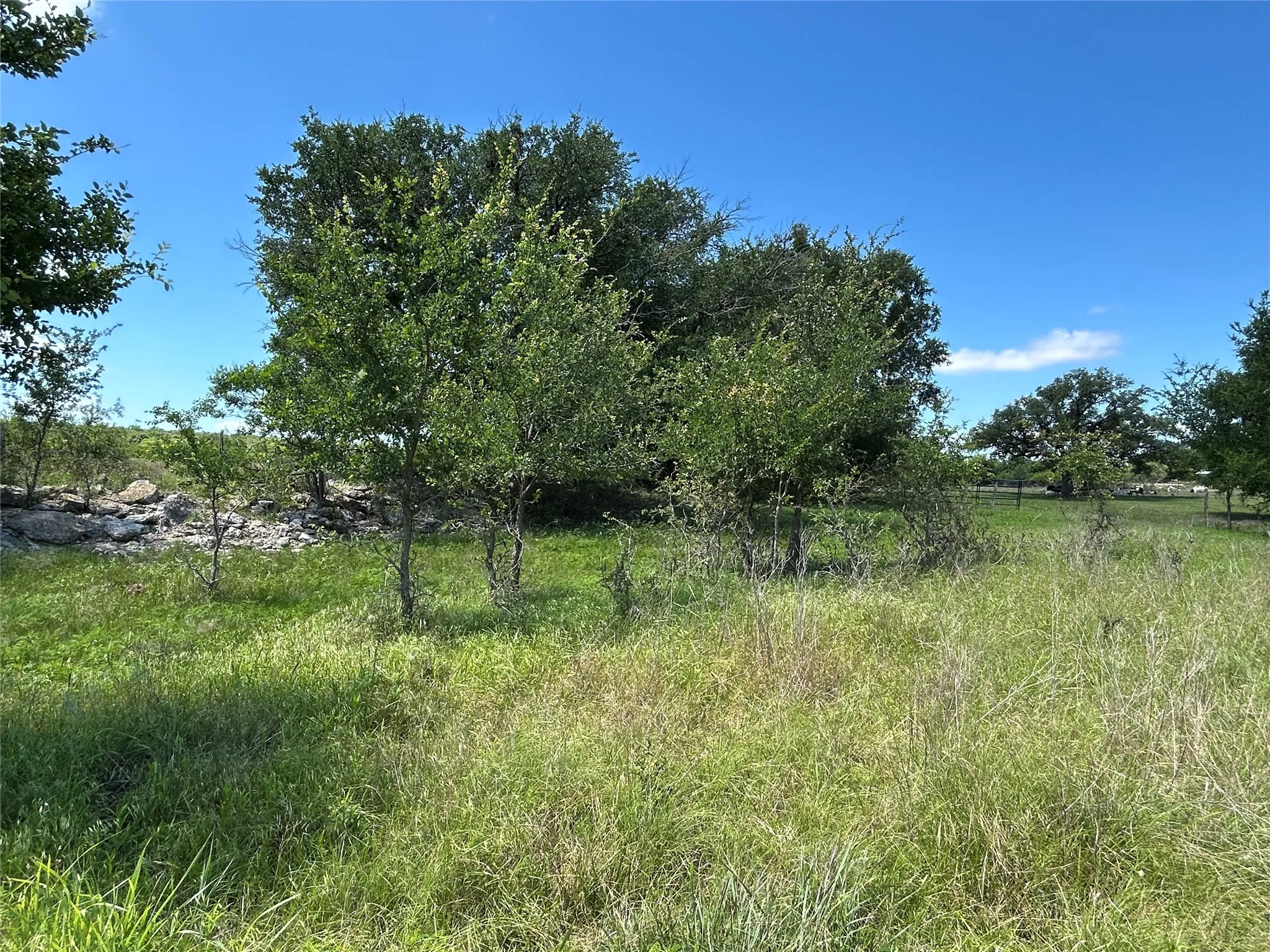 Farm For Sale in Mills County , 495 FM 2005, Goldthwaite, Texas 76844, 3 Bedroom, 2 Bathroom, Garage spaces, 1,500 Sqft, built in 2012, Price $569,000, mls#21276946, Real Estate Agent in Goldthwaite, Homes For Sale in Mills county, Homes For Sale in Goldthwaite, Realtor in Goldthwaite Texas, Real Estate Brokerage Independent Realty Texas, Luminita Cordes Realtor