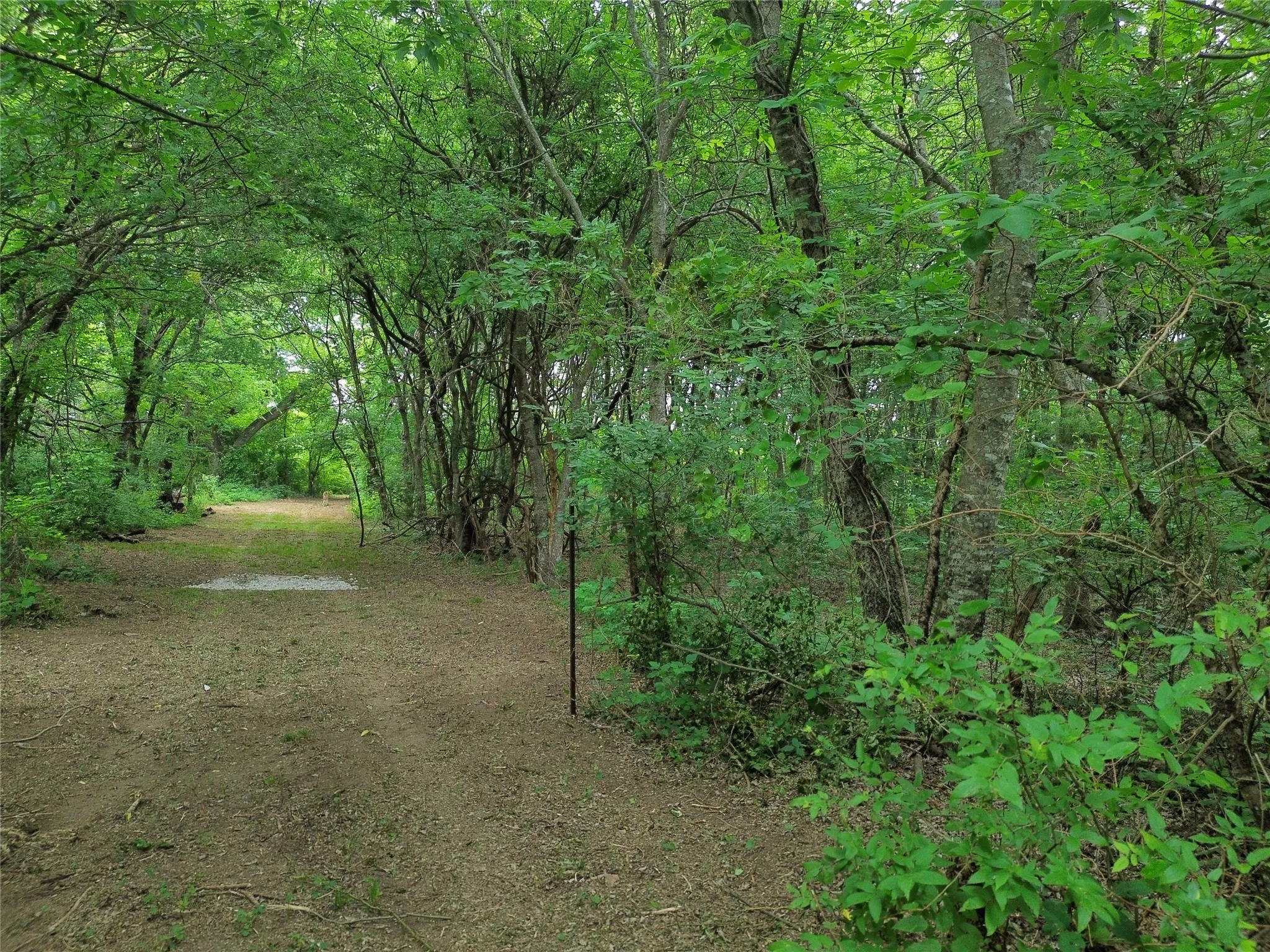 Unimproved Land For Sale in Hill County , N/A PRIVATE ROAD 433, Milford, Texas 76670, 0, 0, Garage spaces, 0 Sqft, built in 0, mls#21280478, Real Estate Agent in Milford, Homes For Sale in Hill county, Homes For Sale in Milford, Realtor in Milford Texas, Real Estate Brokerage Independent Realty Texas, Luminita Cordes Realtor