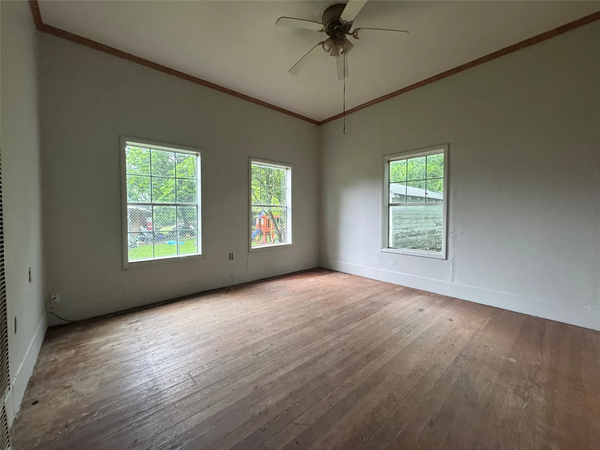 Spacious room with wood-finish flooring, three prominent windows, crown molding, and a ceiling fan fixture