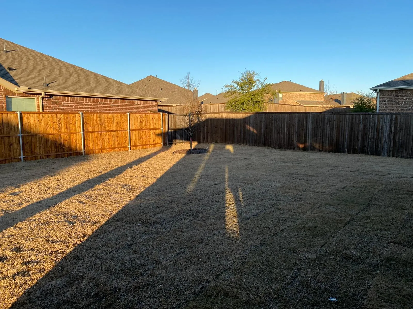 Single Family Residence For Sale in Collin County , 1301 Surrey Street, Melissa, Texas 75454, 3 Bedroom, 2 Bathroom, 2 Garage spaces, 1,722 Sqft, built in 2020, mls#21280431, Real Estate Agent in Melissa, Homes For Sale in Collin county, Homes For Sale in Melissa, Realtor in Melissa Texas, Real Estate Brokerage Independent Realty Texas, Luminita Cordes Realtor
