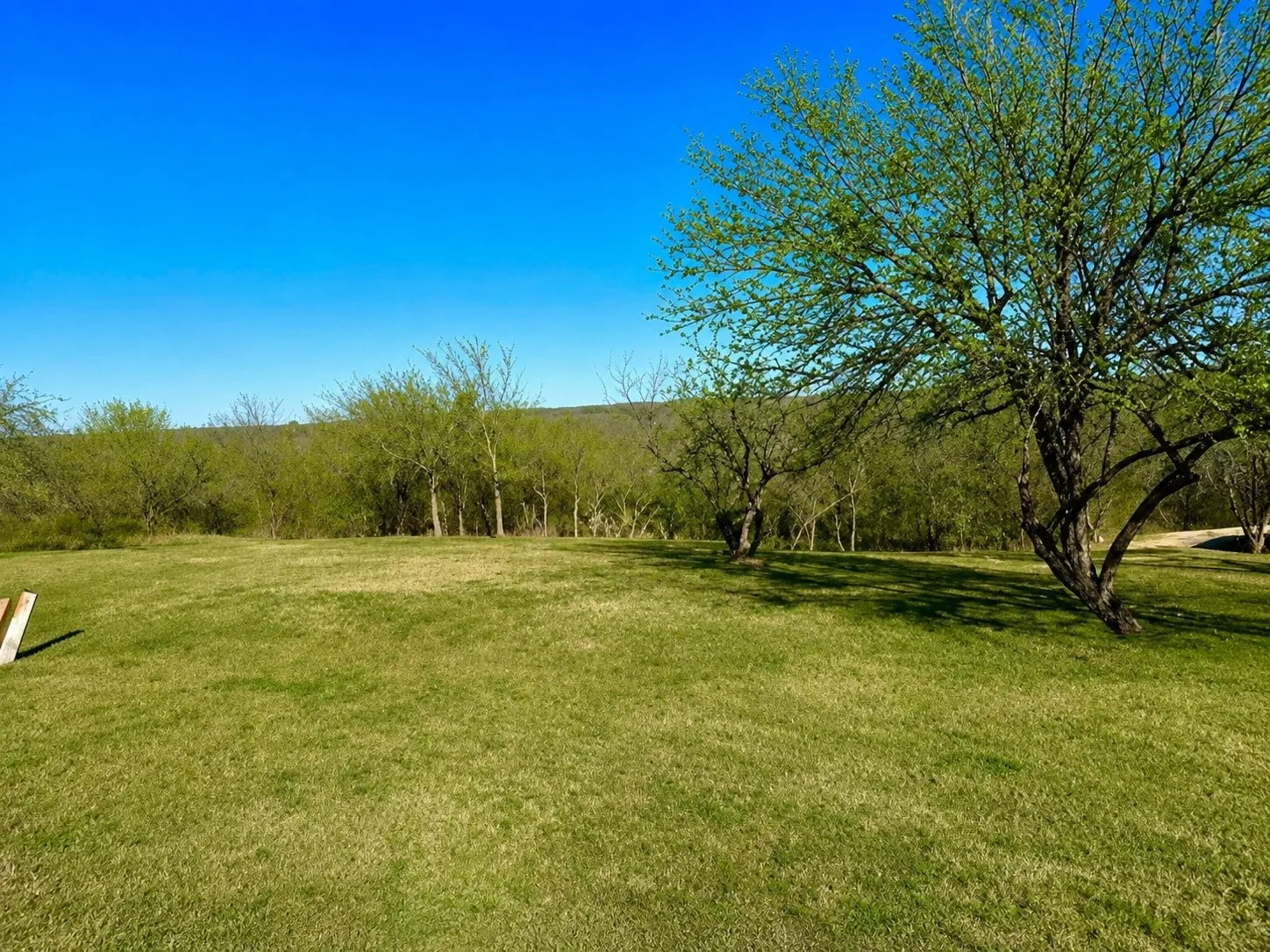 Unimproved Land For Sale in Dallas County , 2955 Sonterra Drive, Cedar Hill, Texas 75104, 0, 0, Garage spaces, 0 Sqft, built in 0, Price $239,900, mls#21280531, Real Estate Agent in Cedar Hill, Homes For Sale in Dallas county, Homes For Sale in Cedar Hill, Realtor in Cedar Hill Texas, Real Estate Brokerage Independent Realty Texas, Luminita Cordes Realtor