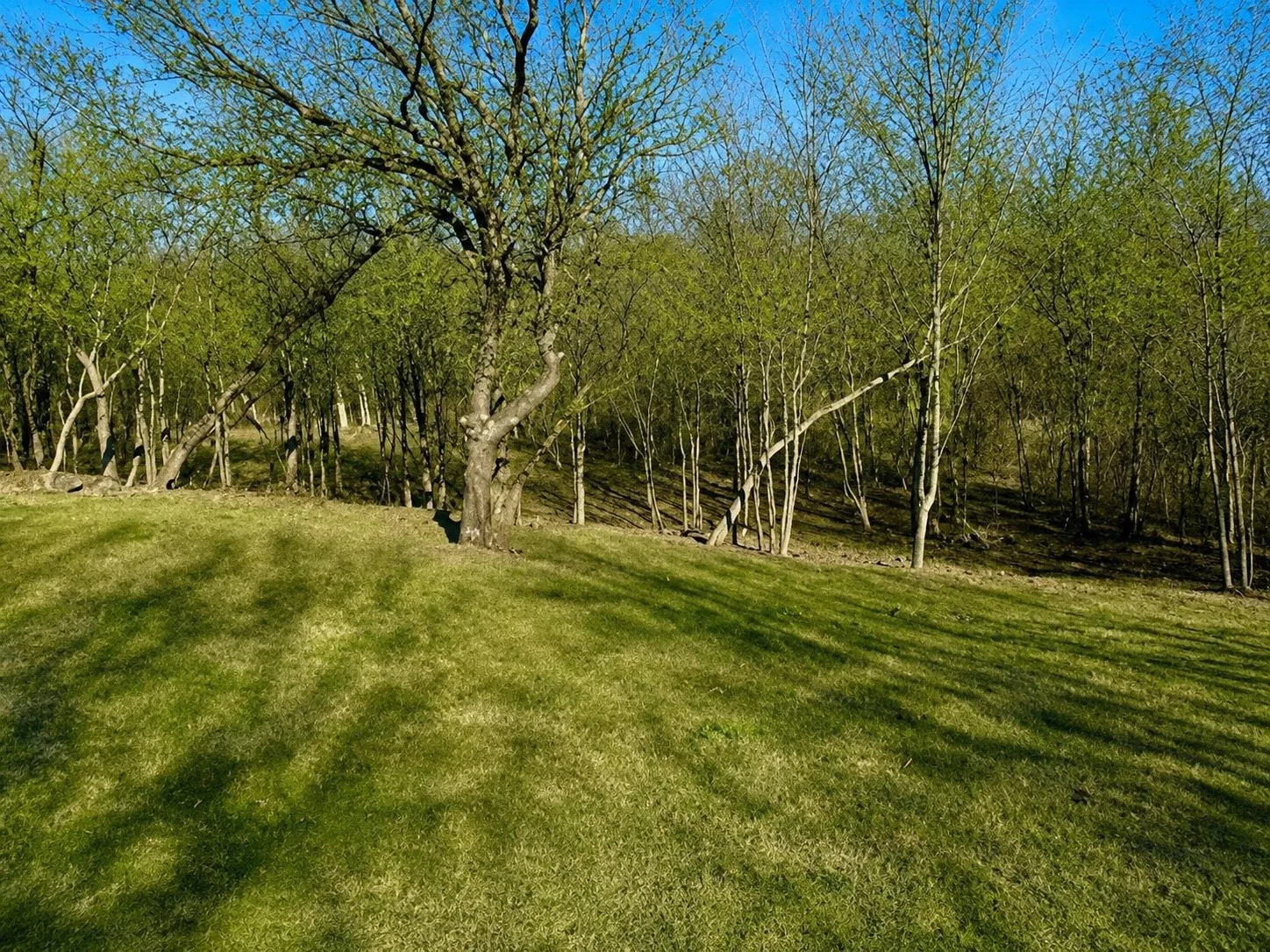 Unimproved Land For Sale in Dallas County , 2955 Sonterra Drive, Cedar Hill, Texas 75104, 0, 0, Garage spaces, 0 Sqft, built in 0, Price $239,900, mls#21280531, Real Estate Agent in Cedar Hill, Homes For Sale in Dallas county, Homes For Sale in Cedar Hill, Realtor in Cedar Hill Texas, Real Estate Brokerage Independent Realty Texas, Luminita Cordes Realtor